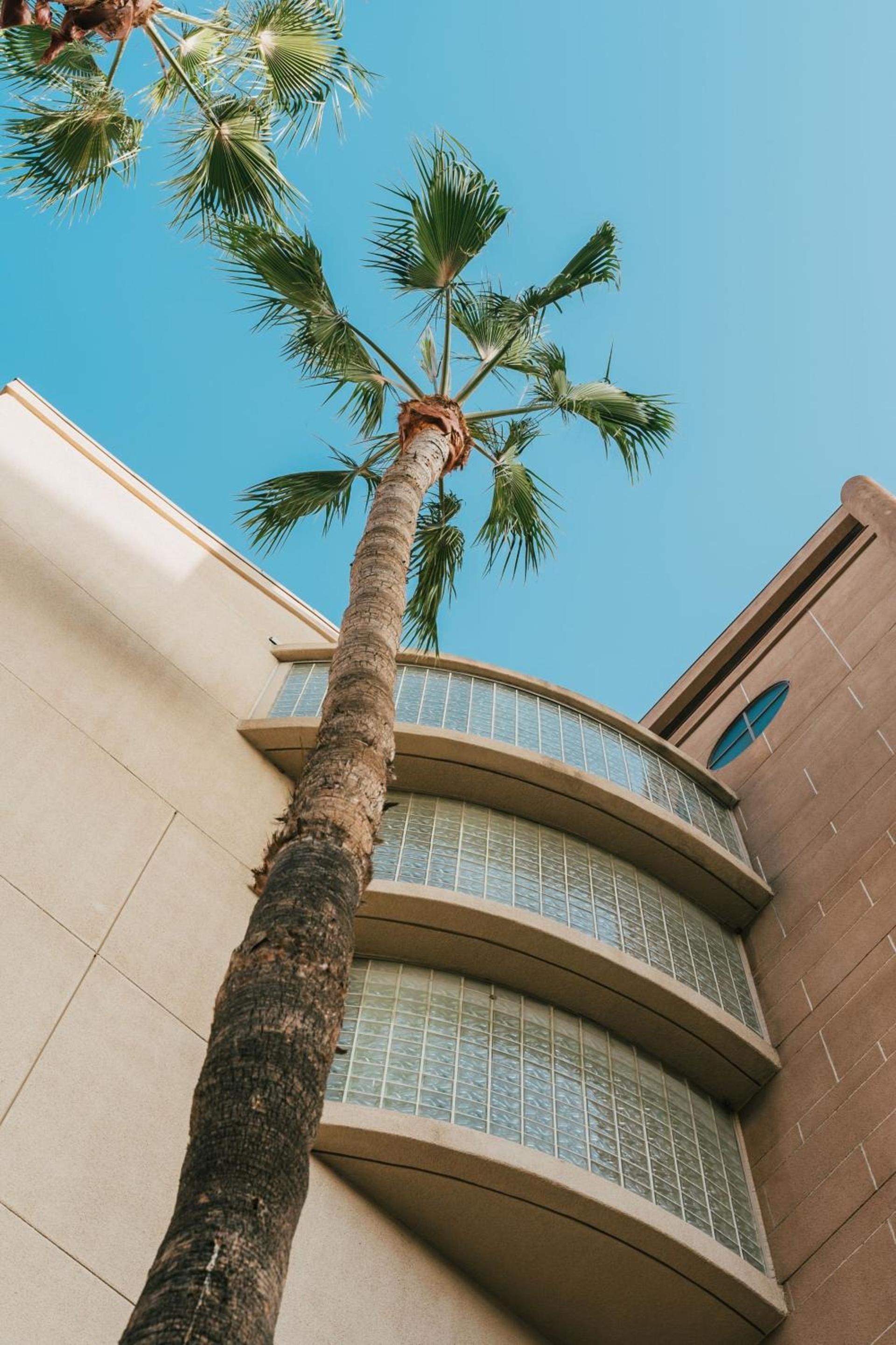 Courtyard by Marriott Los Angeles LAX / Century Boulevard photo 2