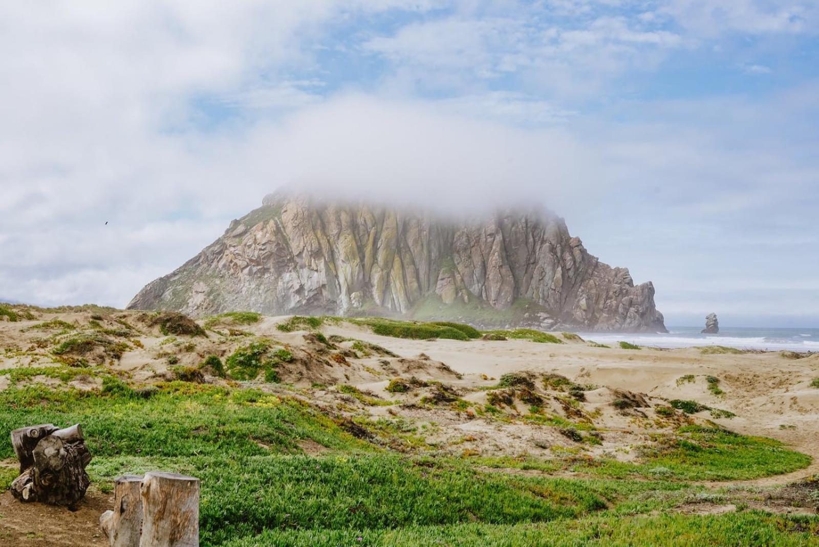 Morro Bay Beach Inn - Morro Bay photo 19