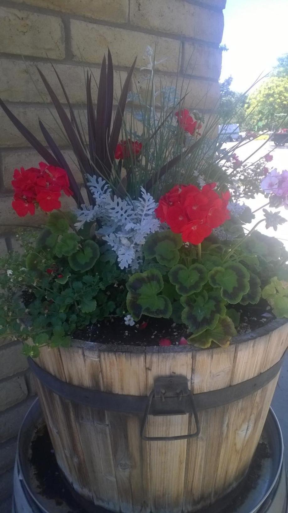 Rustic Inn photo 71
