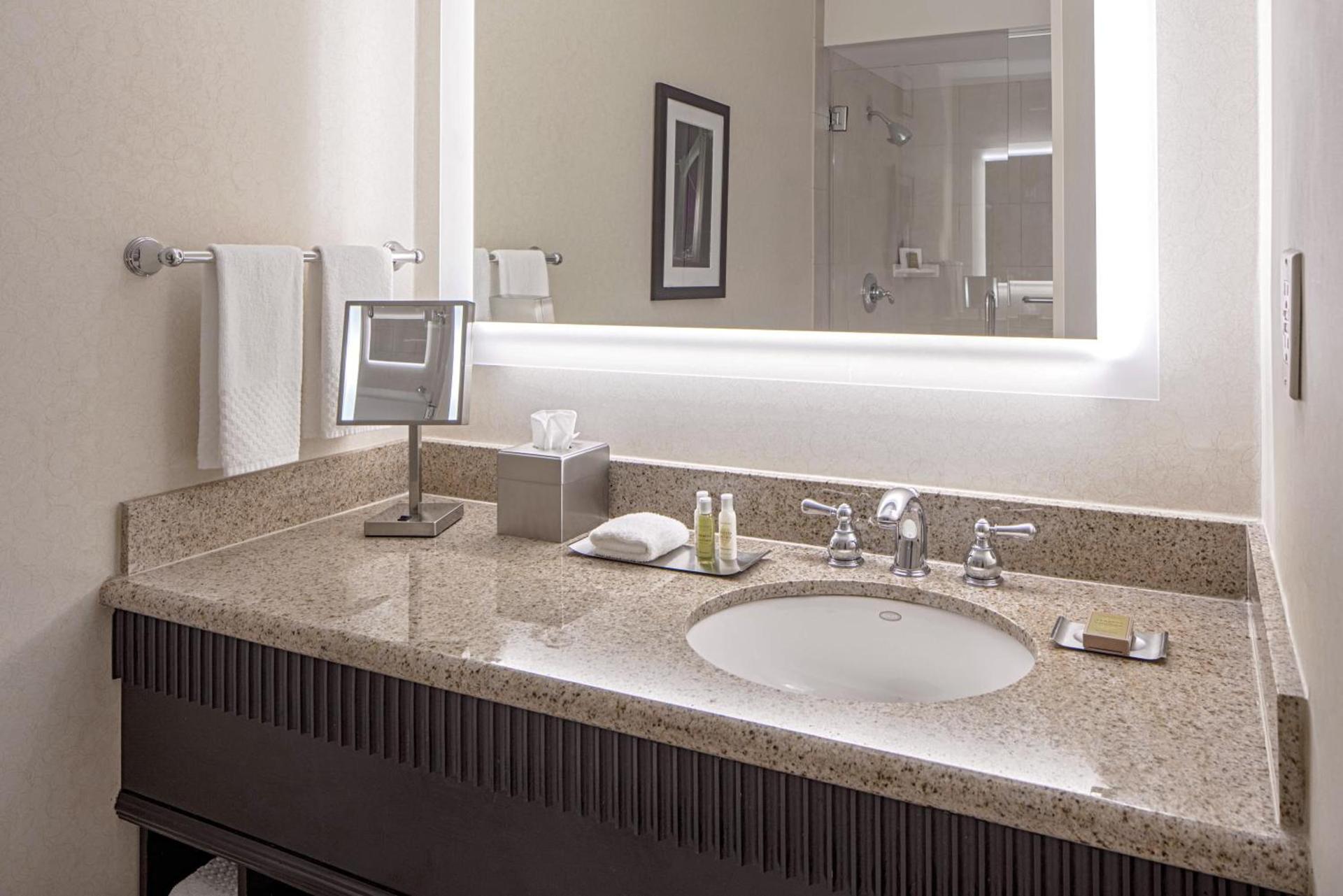 DoubleTree Suites by Hilton Minneapolis Downtown photo 33