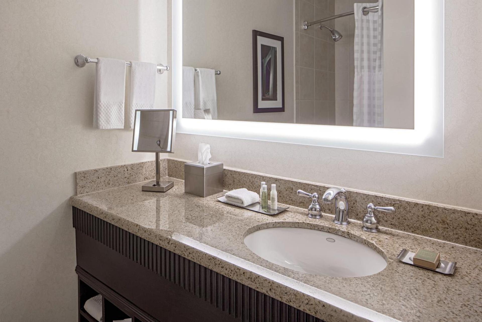DoubleTree Suites by Hilton Minneapolis Downtown photo 34
