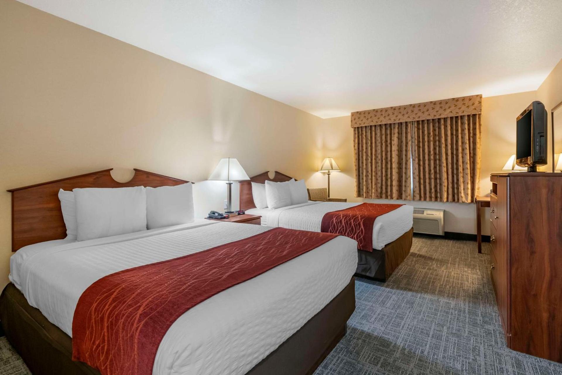 SureStay Plus Hotel by Best Western Buffalo photo 15