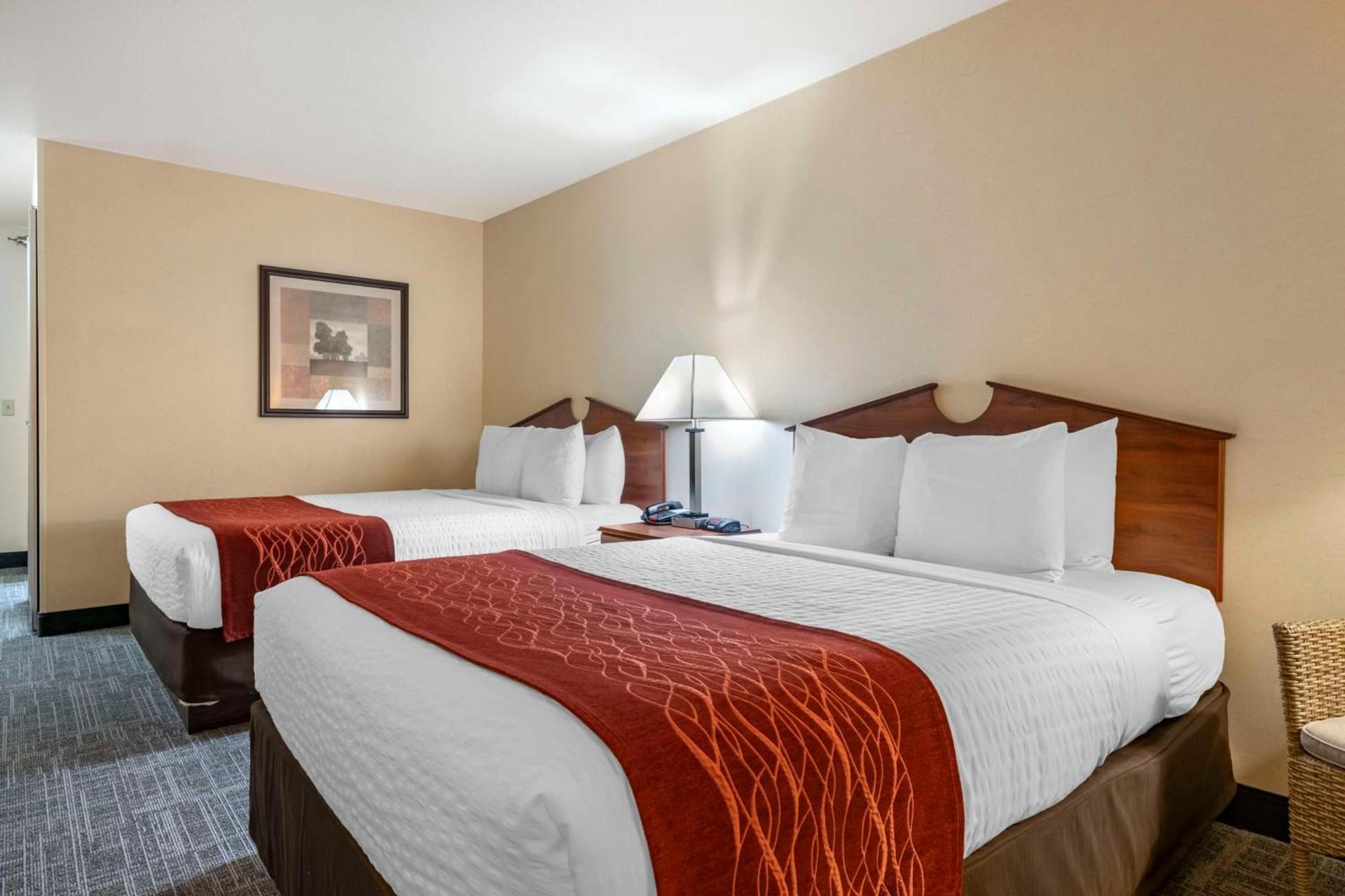 SureStay Plus Hotel by Best Western Buffalo photo 6
