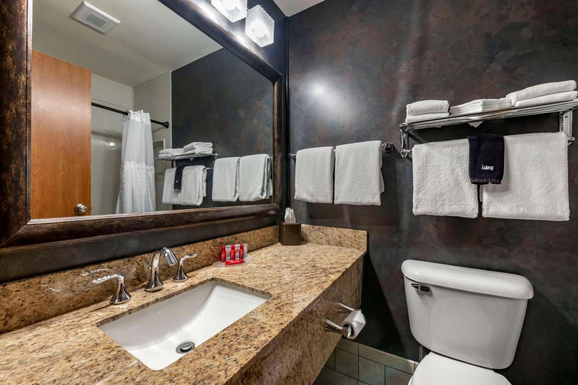 SureStay Plus Hotel by Best Western Buffalo photo 26