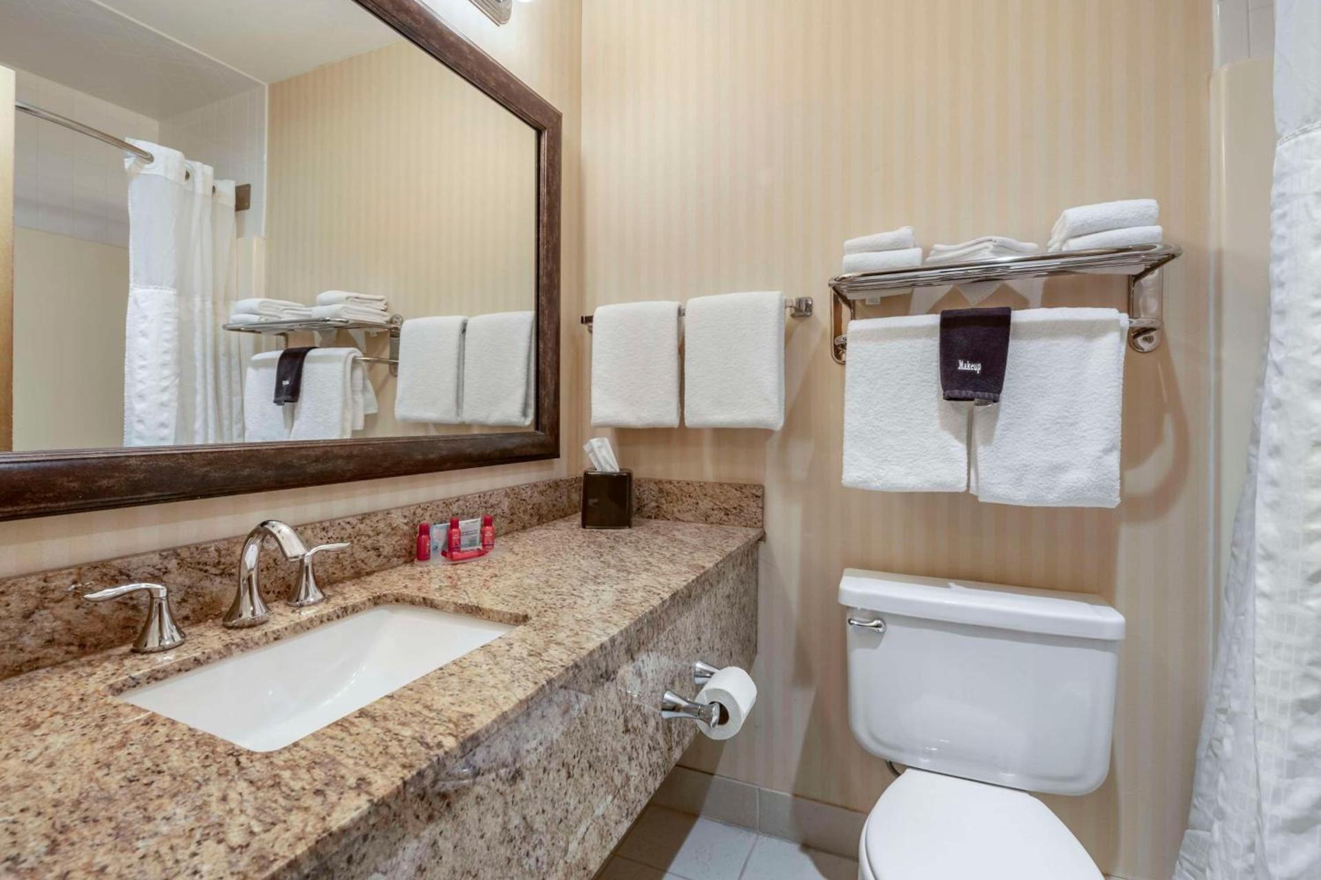 SureStay Plus Hotel by Best Western Buffalo photo 29
