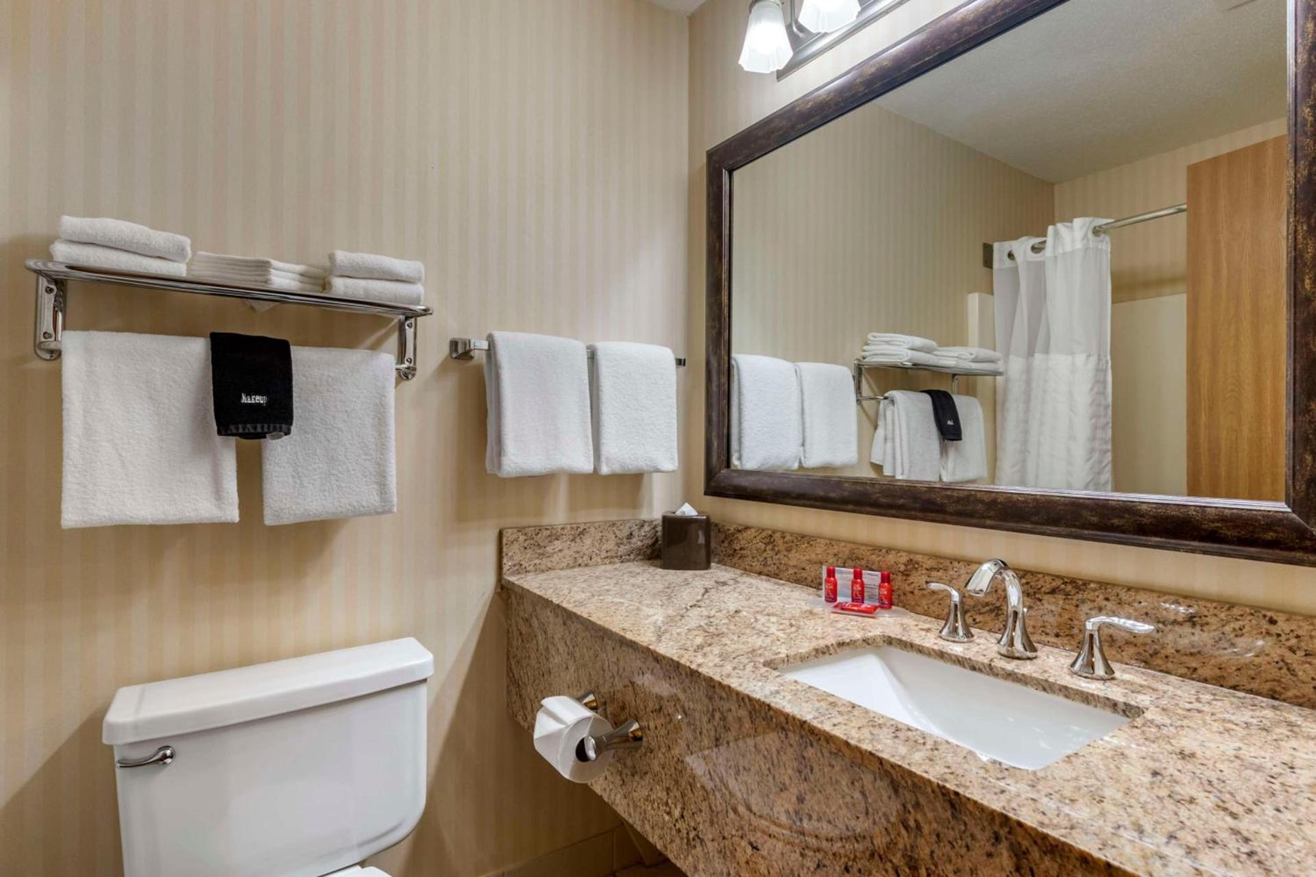 SureStay Plus Hotel by Best Western Buffalo photo 30