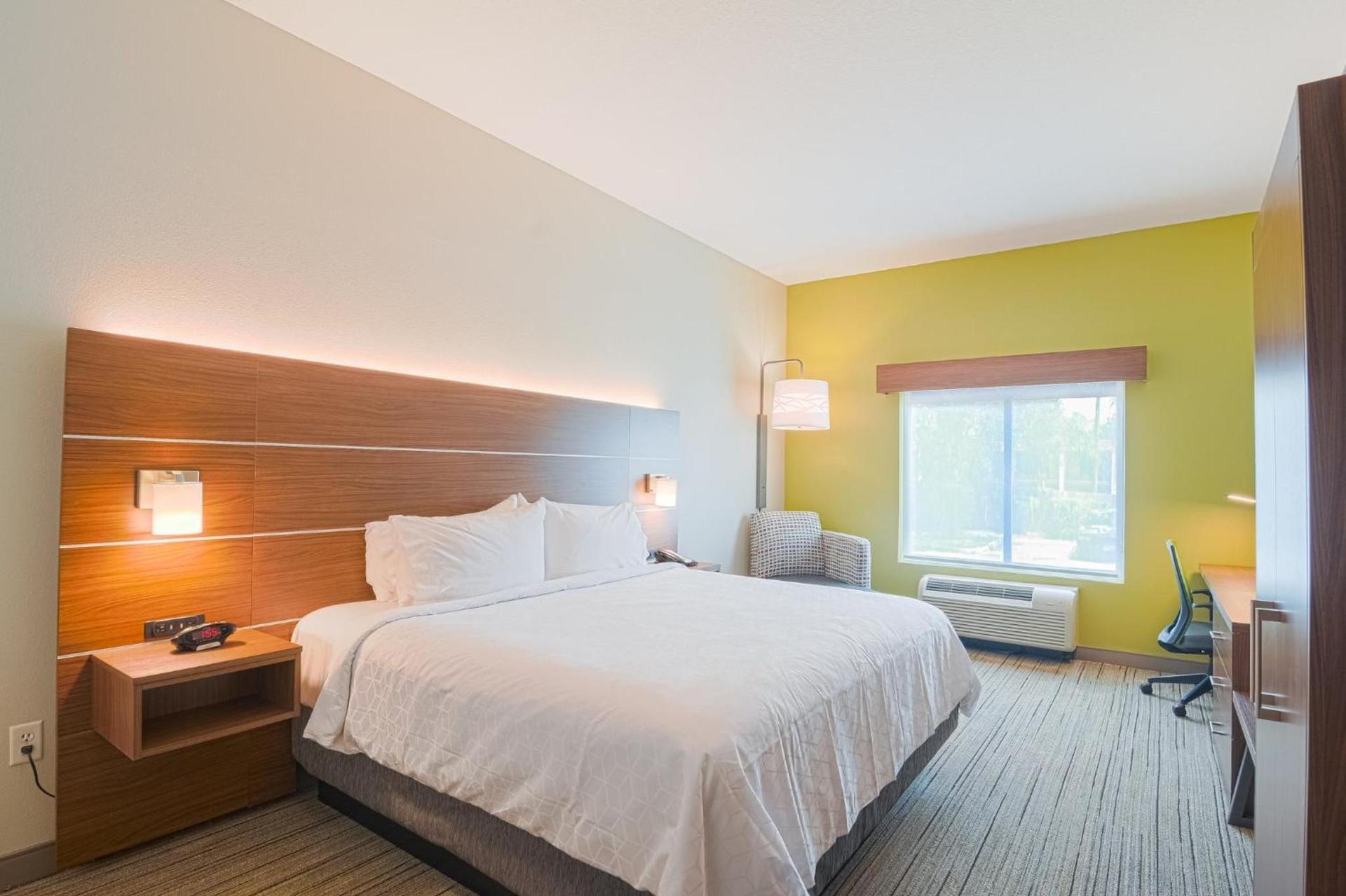 Holiday Inn Express Hotel & Suites Tampa-USF-Busch Gardens by IHG photo 41