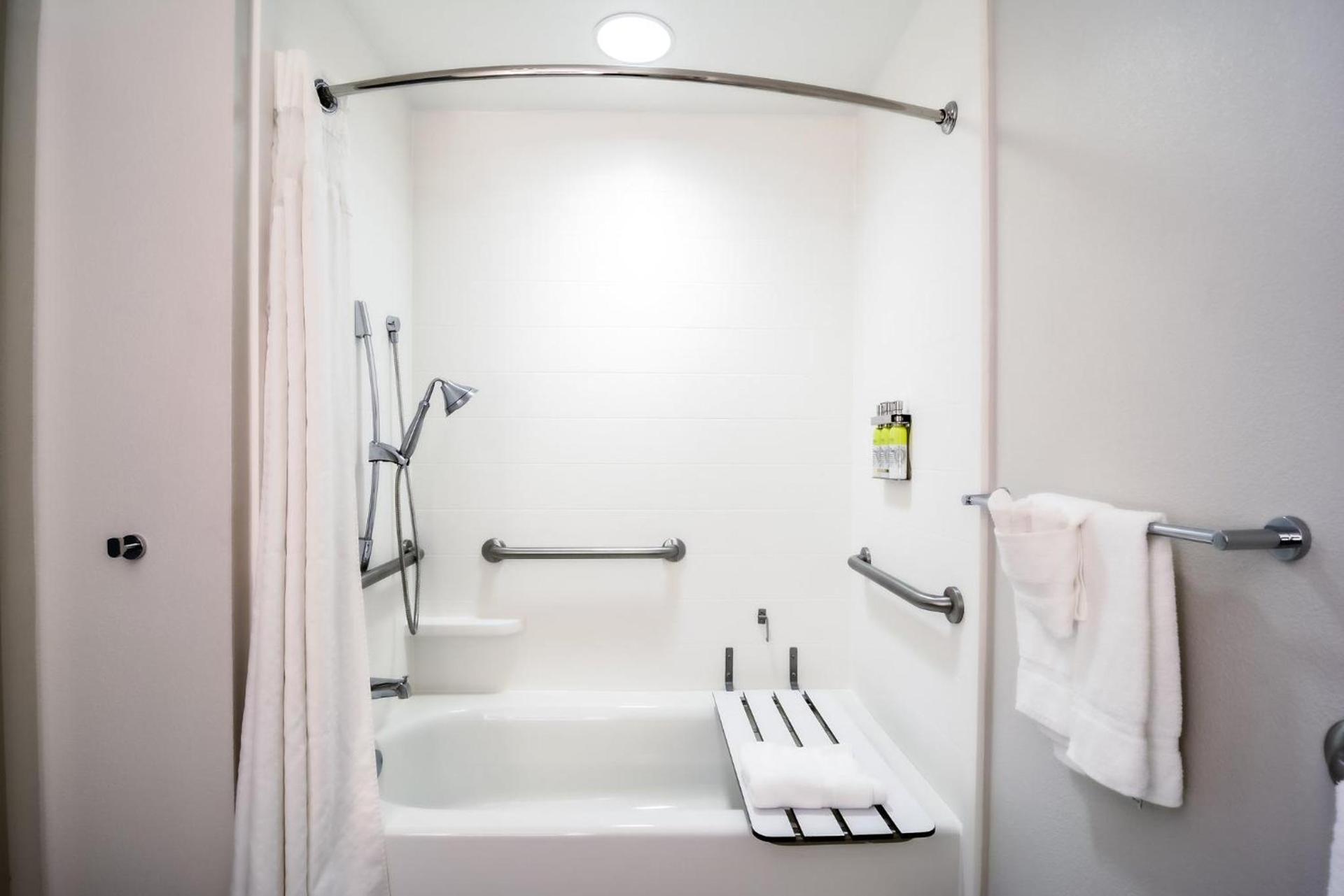 Holiday Inn Express Hotel & Suites Tampa-USF-Busch Gardens by IHG photo 34