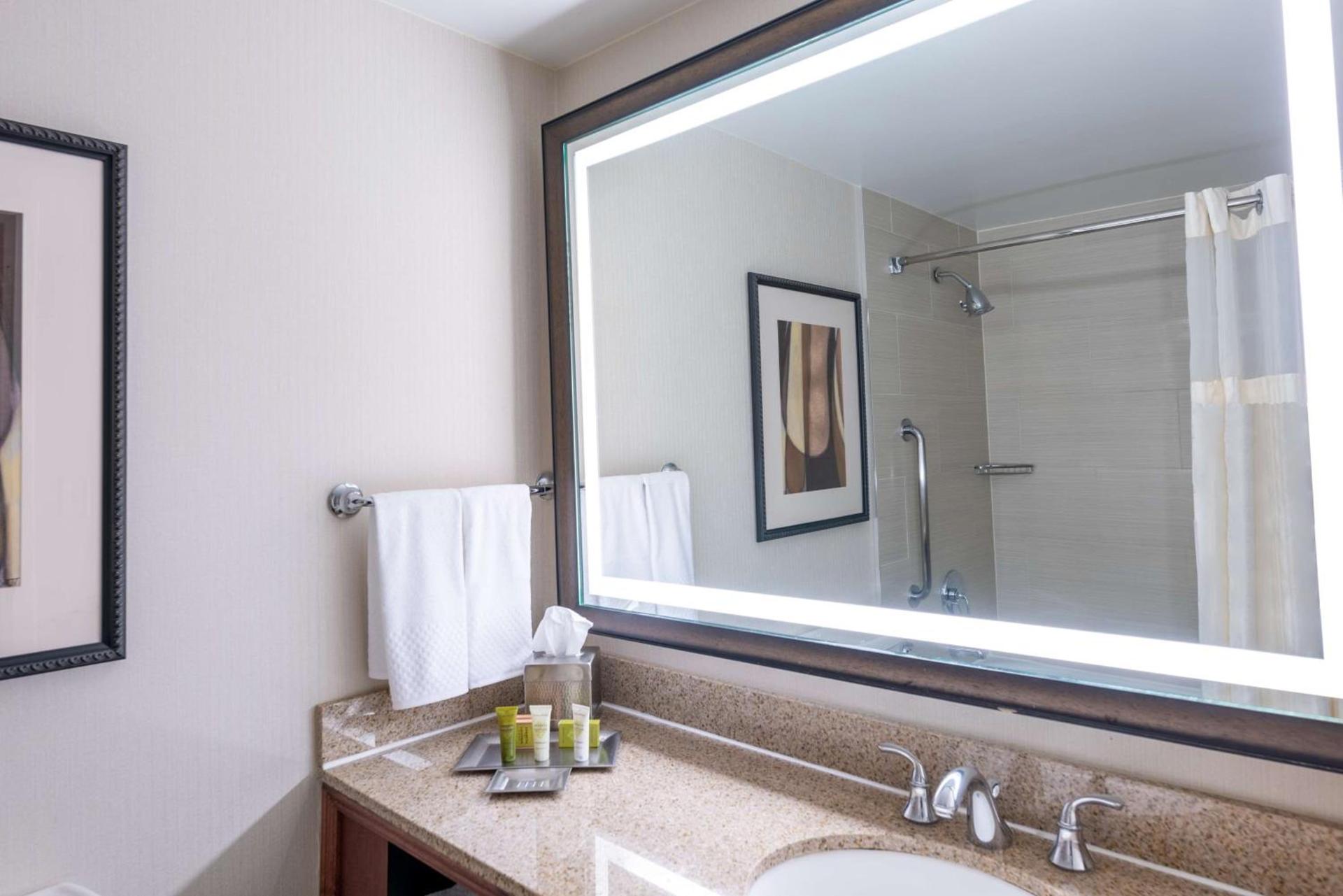Hilton Alexandria Mark Center photo 64