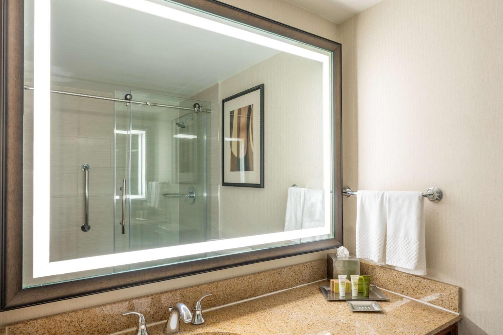 Hilton Alexandria Mark Center photo 67
