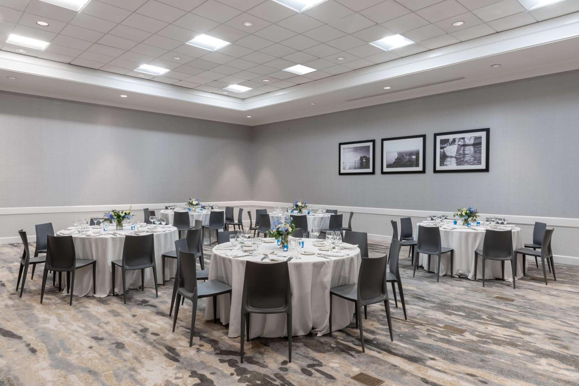 Hilton Alexandria Mark Center photo 88