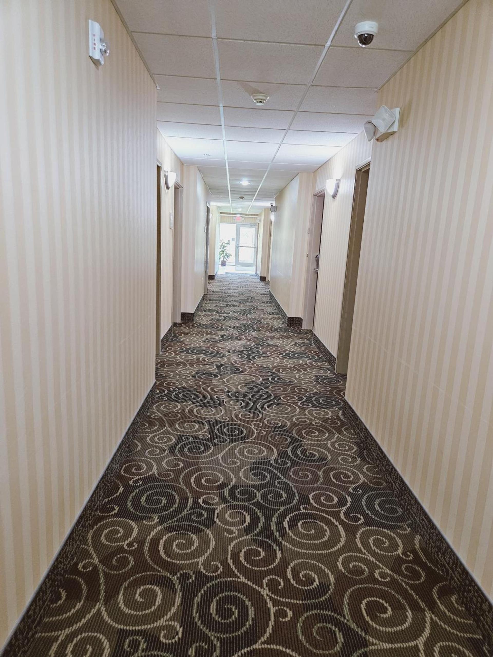 Cobblestone Inn & Suites - Bloomfield photo 26