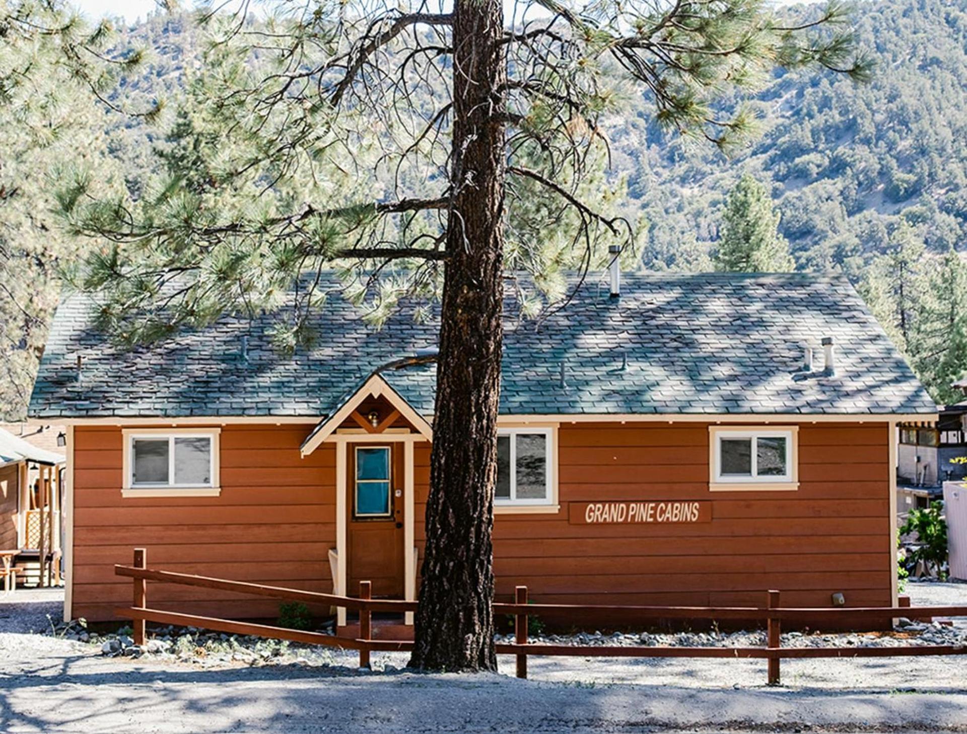 Grand Pine Cabins photo 47
