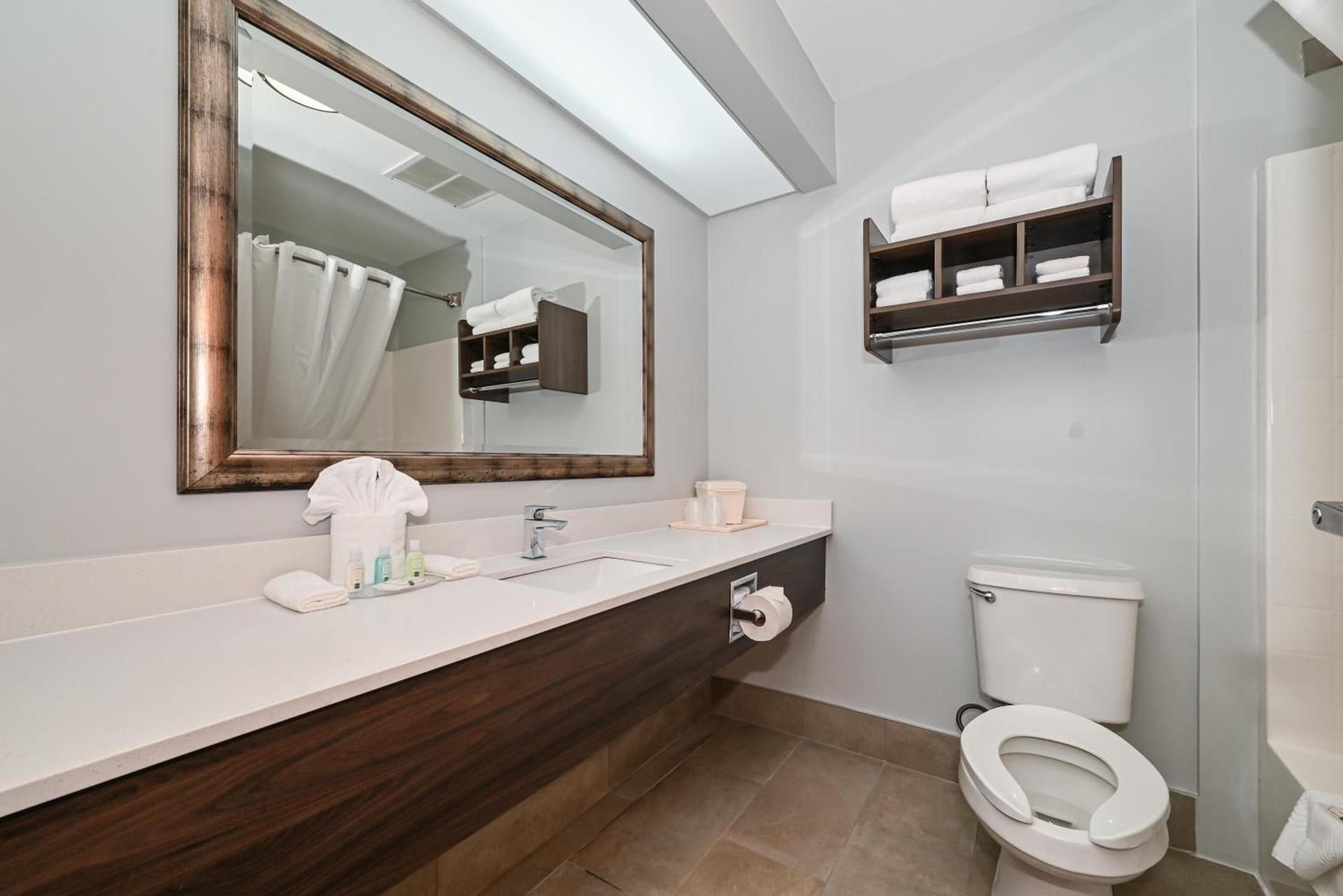 Quality Inn & Suites Matthews - Charlotte photo 60