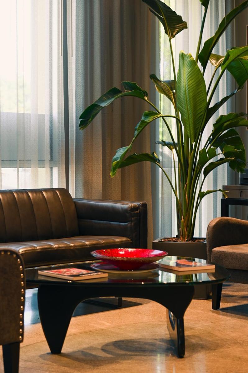Art House Hotel photo 11