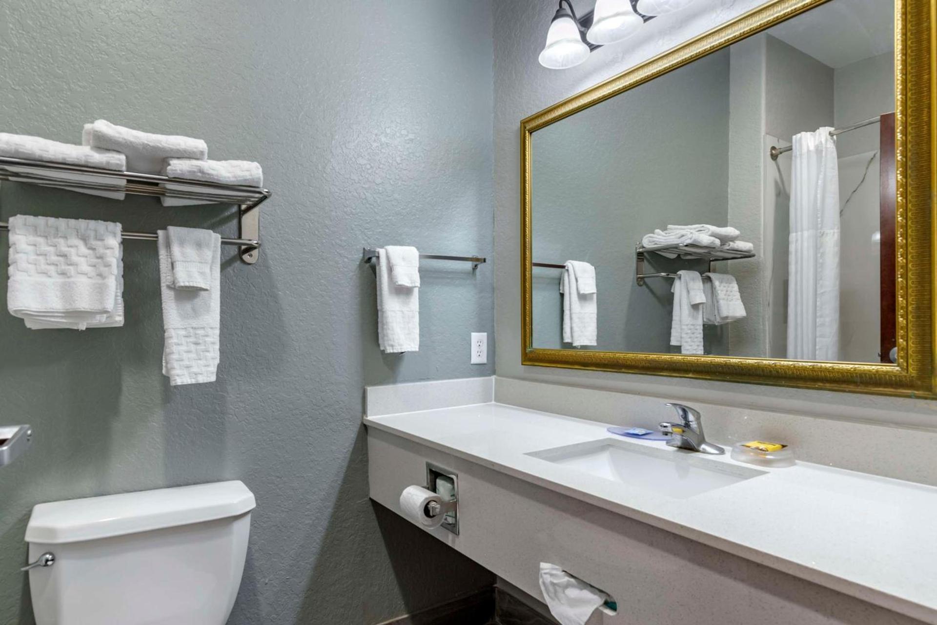 Best Western Plus Victoria Inn & Suites photo 13