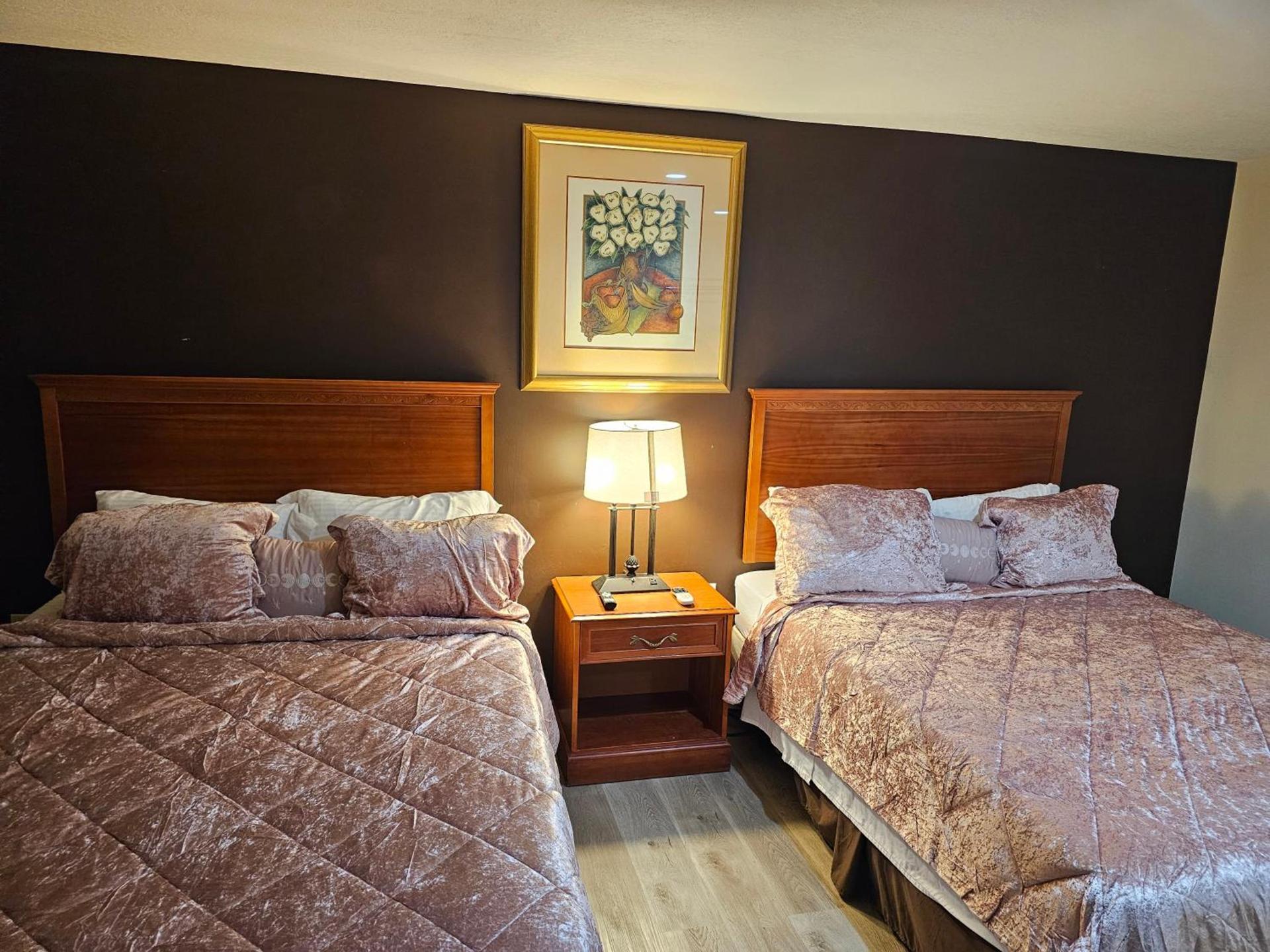 Stardust Motel photo 25