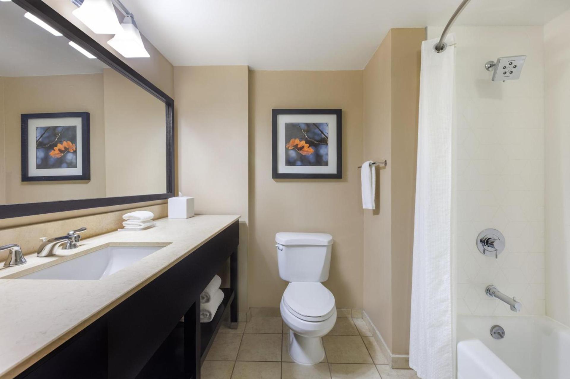 Crowne Plaza Cleveland at Playhouse Square by IHG photo 30