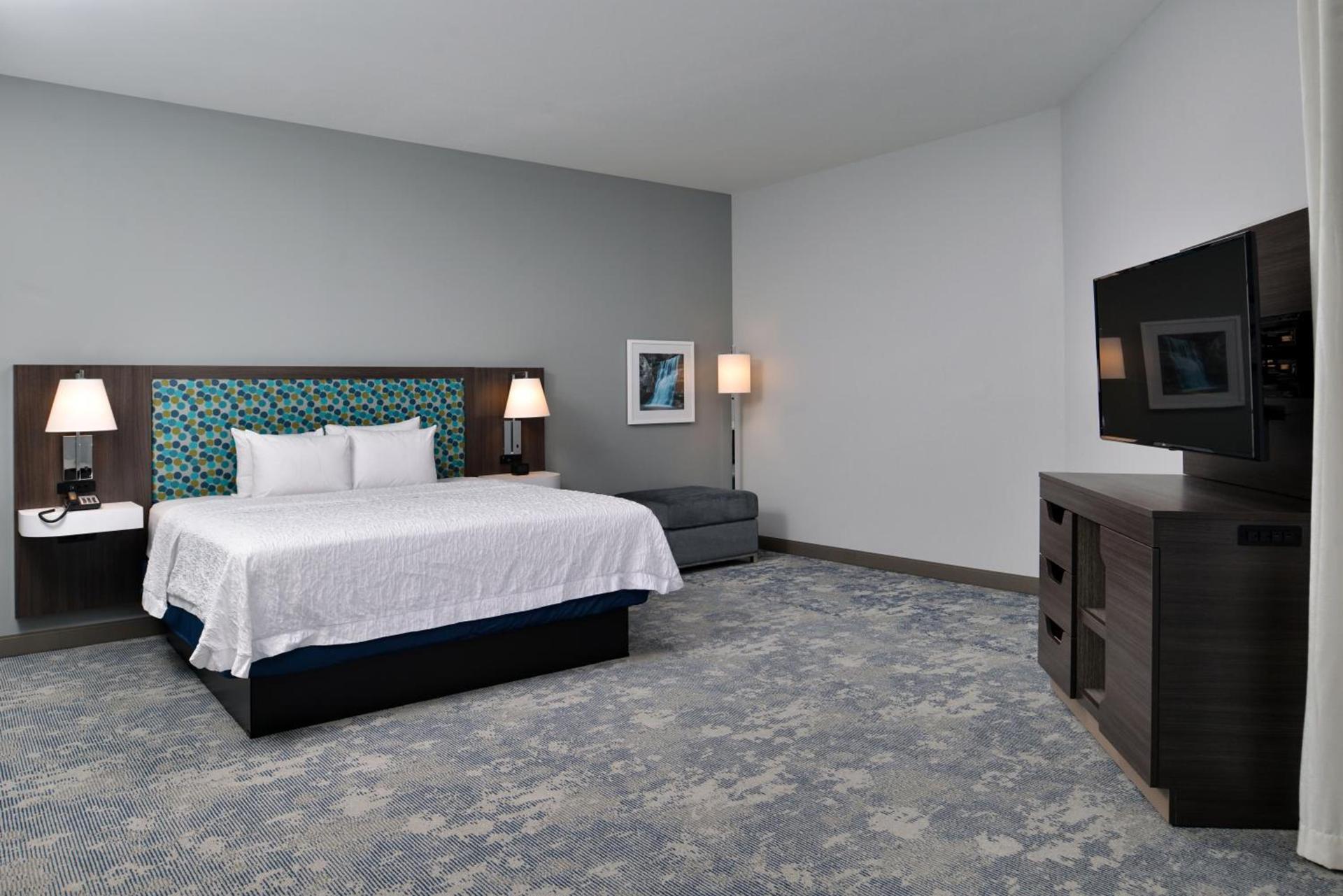 Hampton Inn Cedar Falls Downtown, Ia photo 73