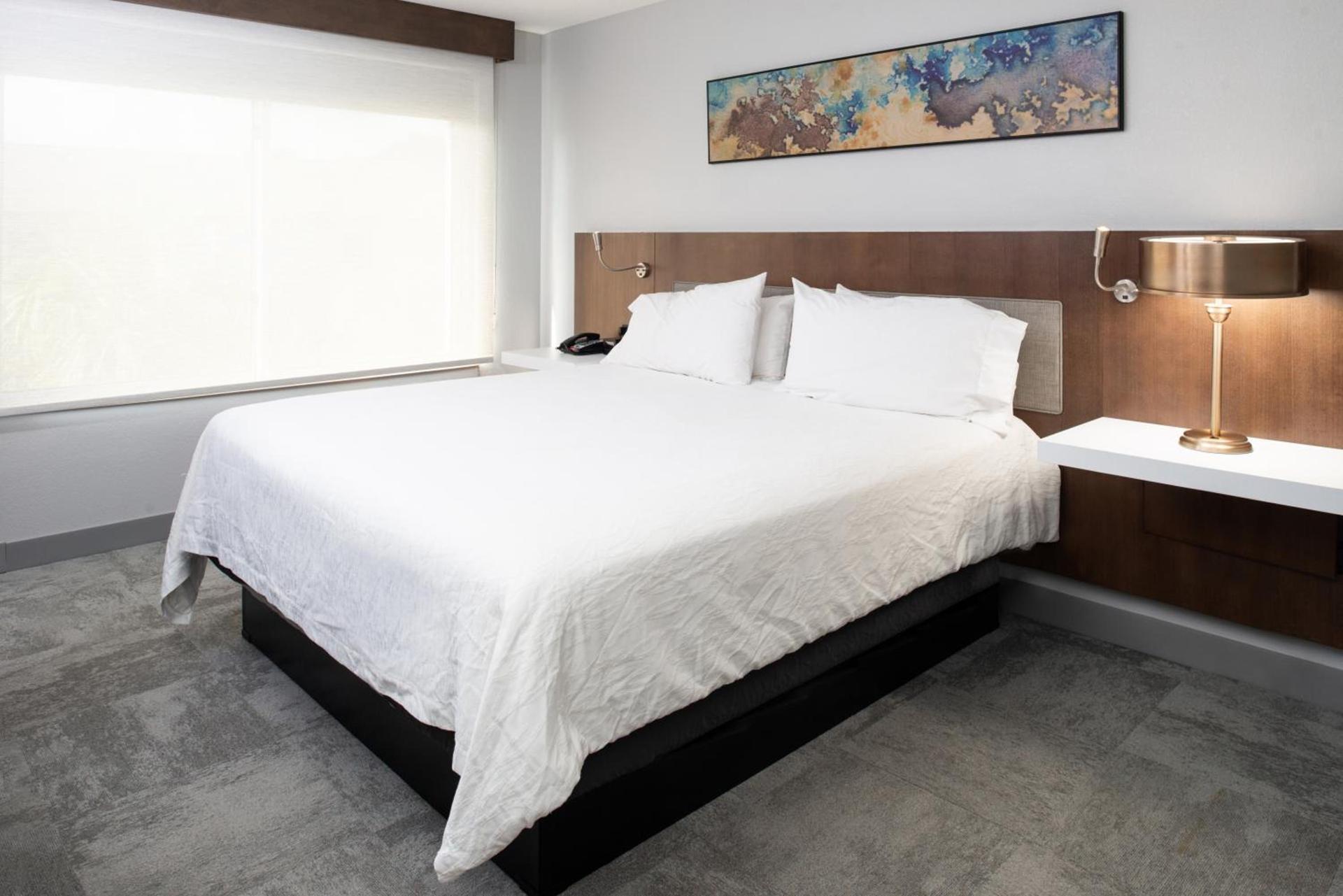 Hilton Garden Inn Baton Rouge Airport photo 20