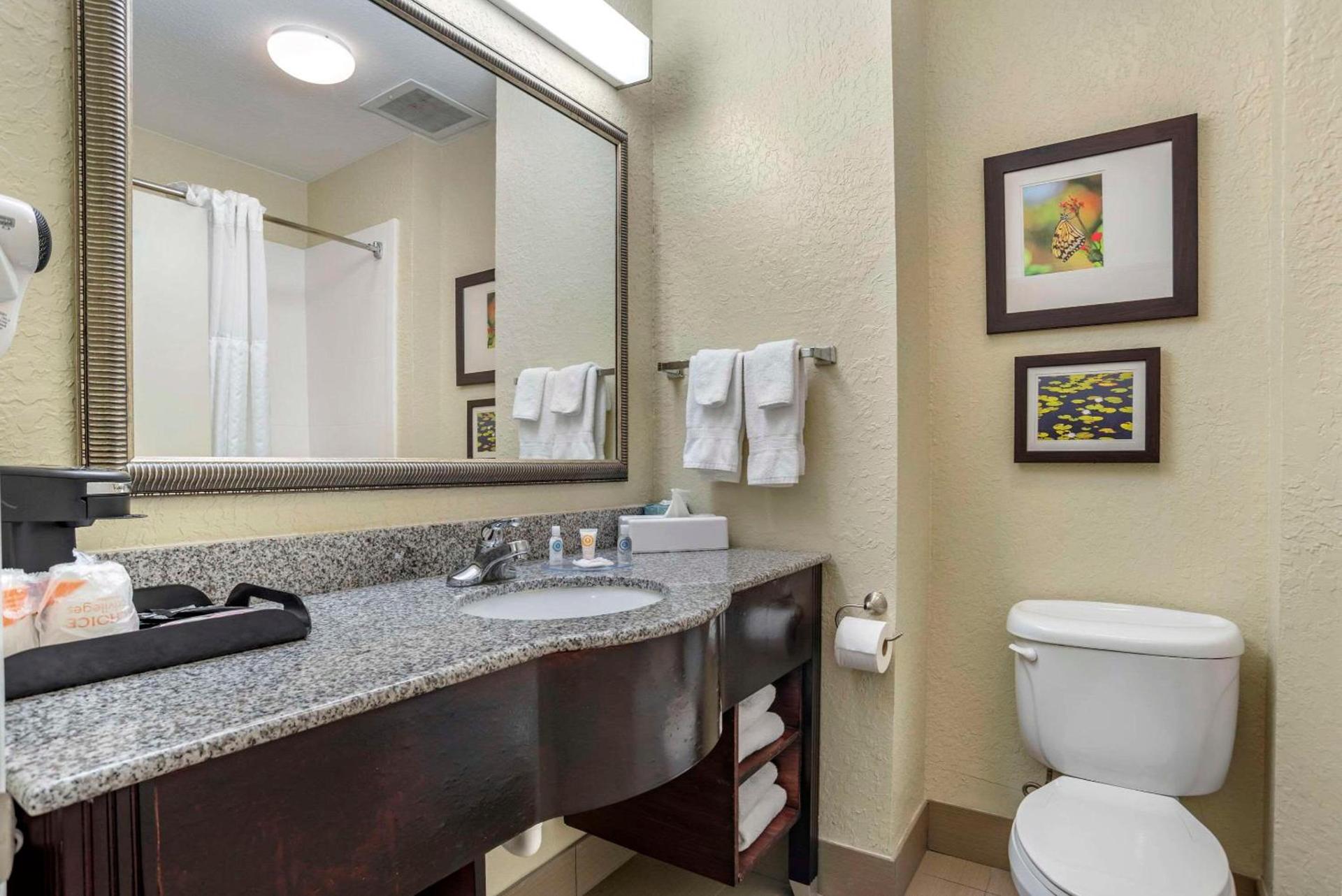 Comfort Inn & Suites Marianna I-10 photo 26