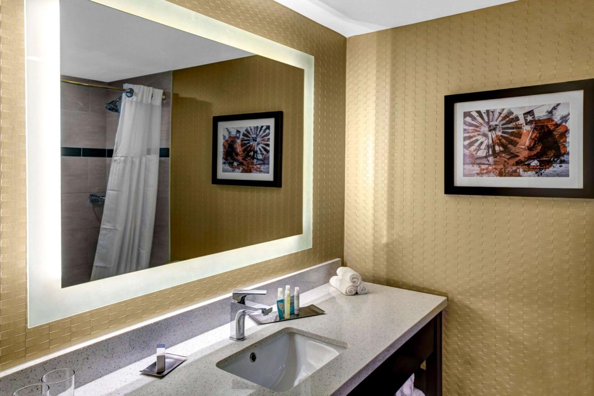 Doubletree by Hilton Arlington DFW South photo 11