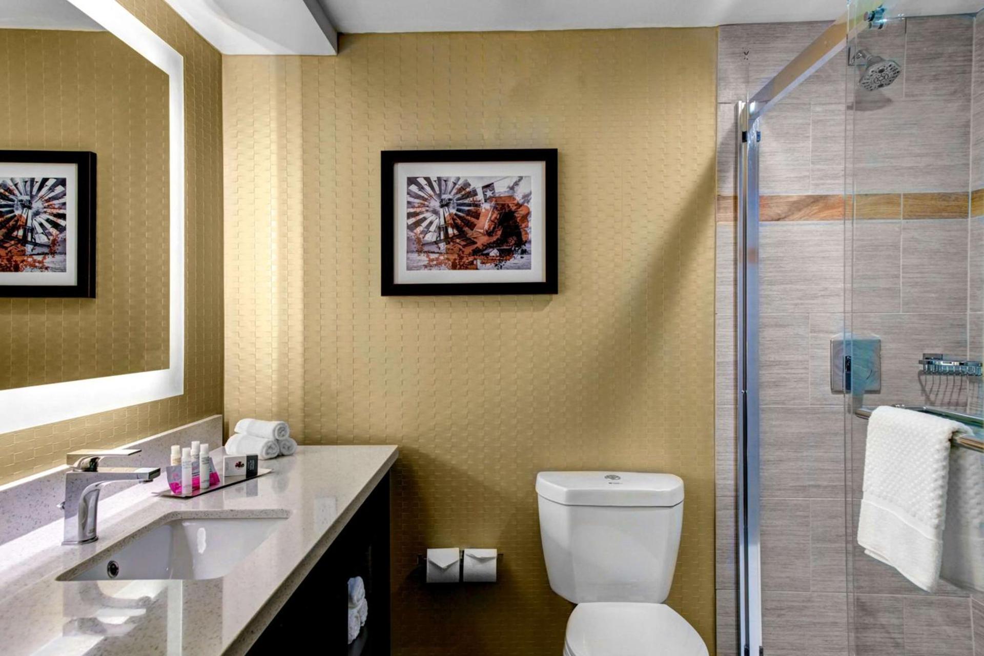 Doubletree by Hilton Arlington DFW South photo 13