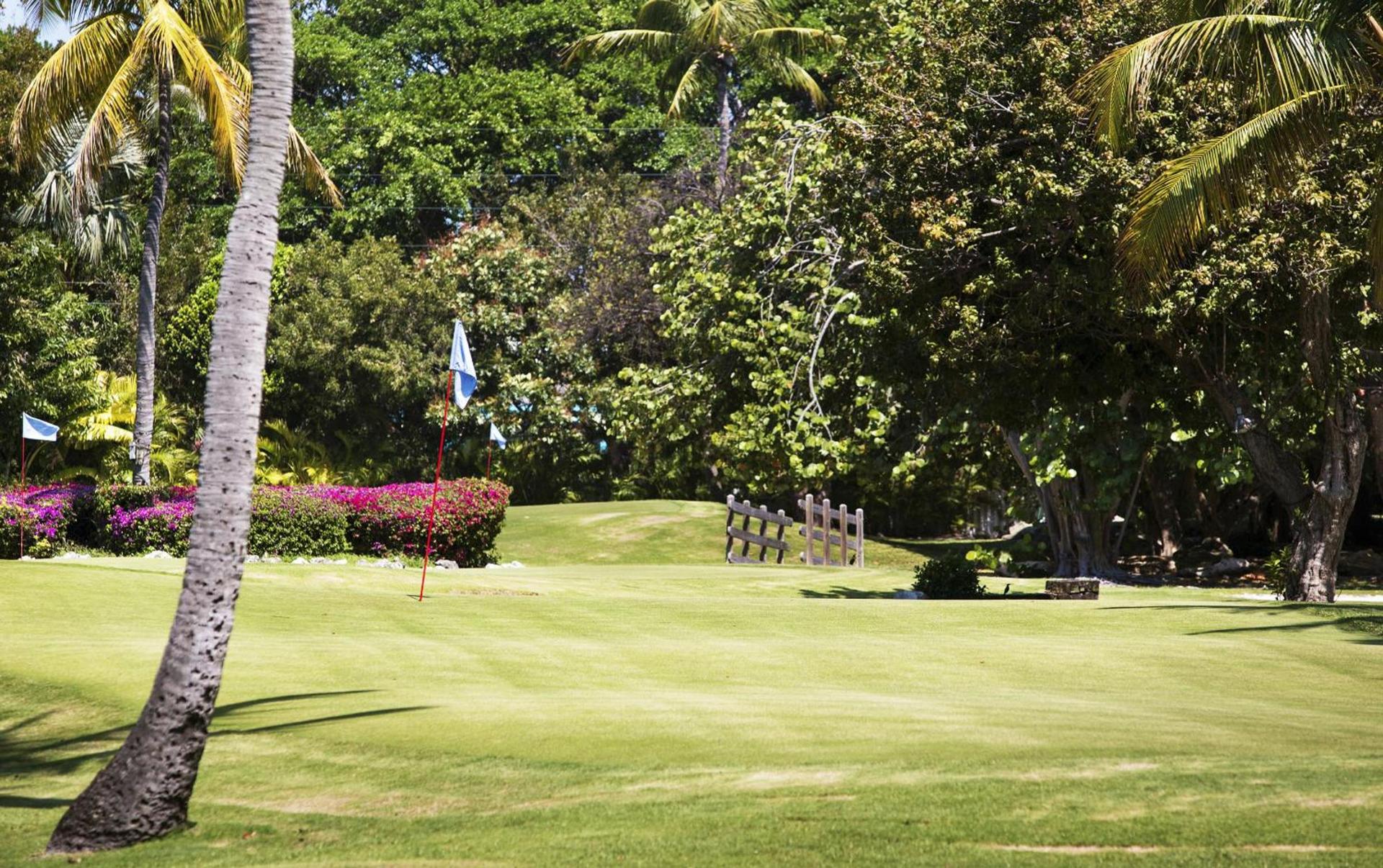 Cheeca Lodge & Spa photo 51