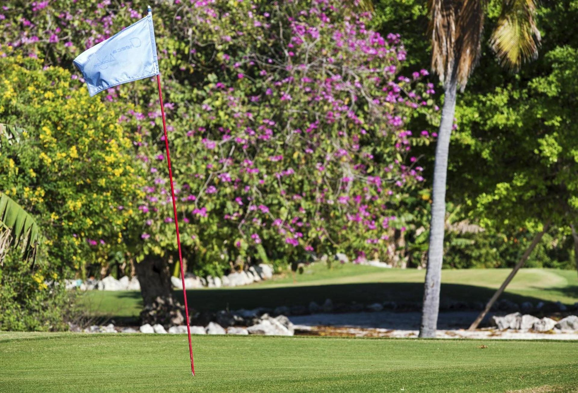 Cheeca Lodge & Spa photo 54