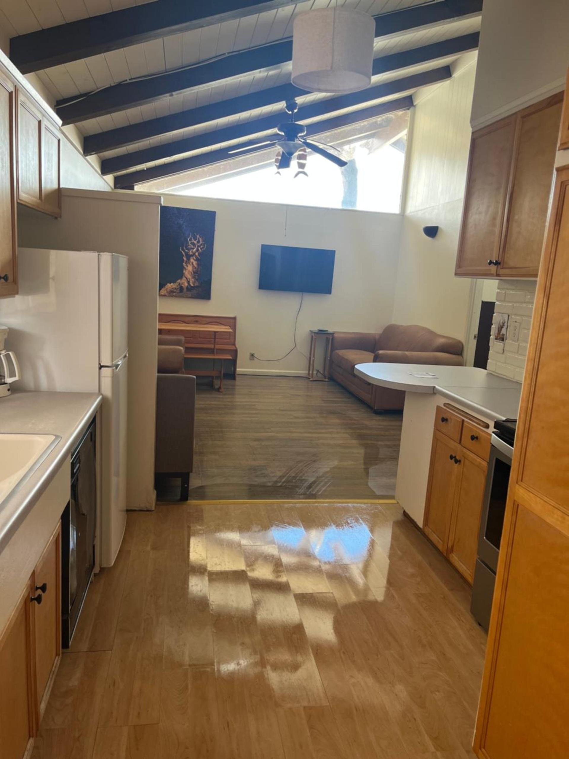 Bristlecone Motel photo 37