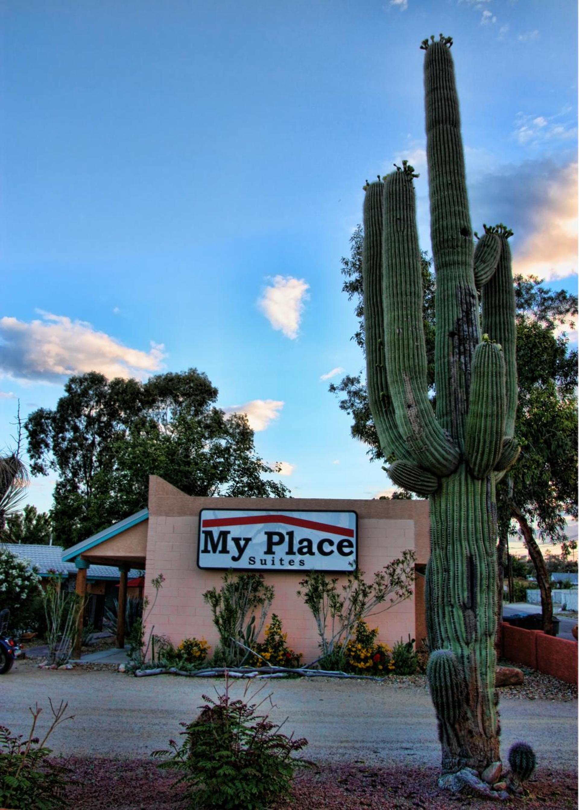 My Place Suites photo 90