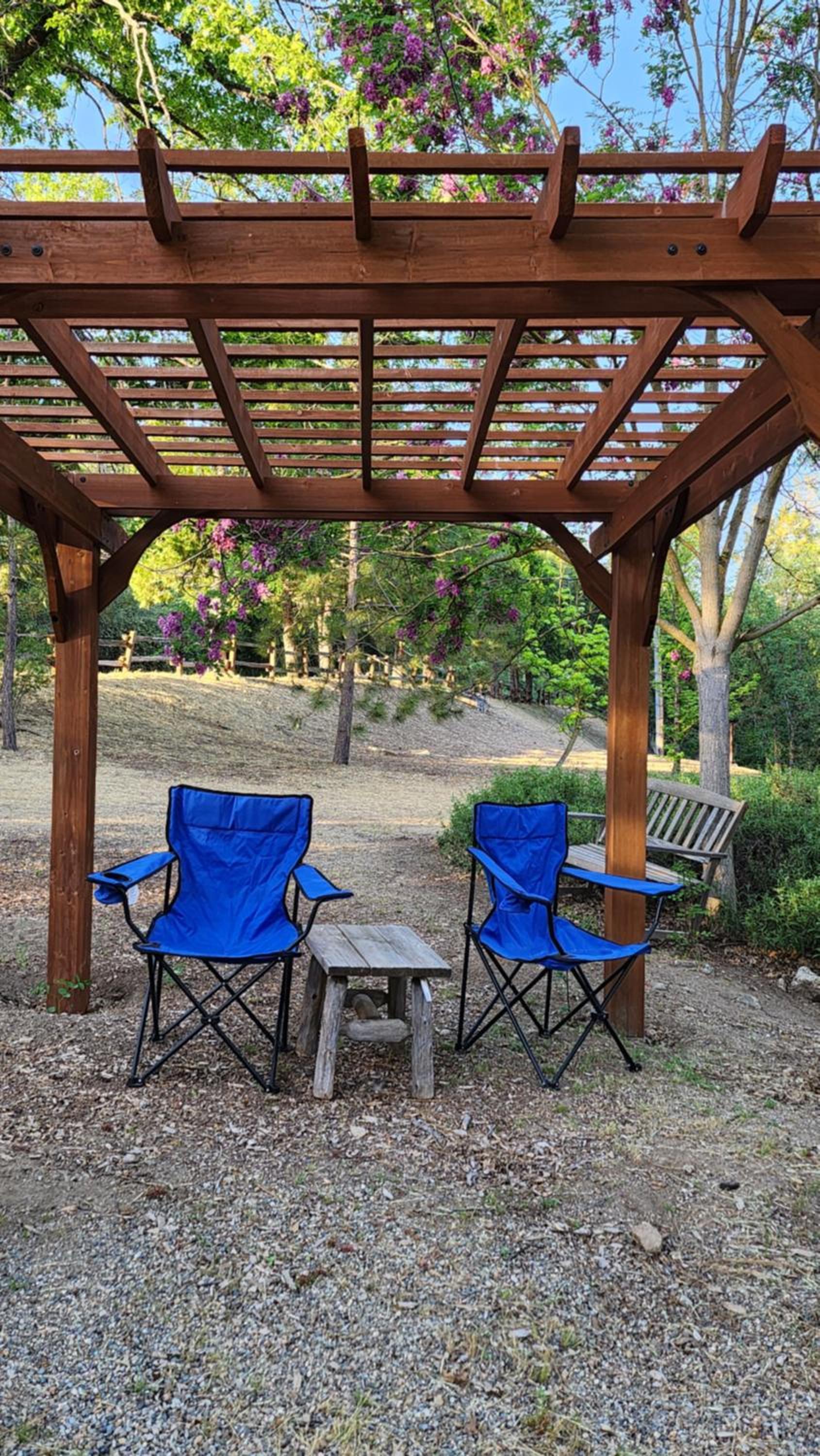 Yosemite Mountain Retreat photo 9