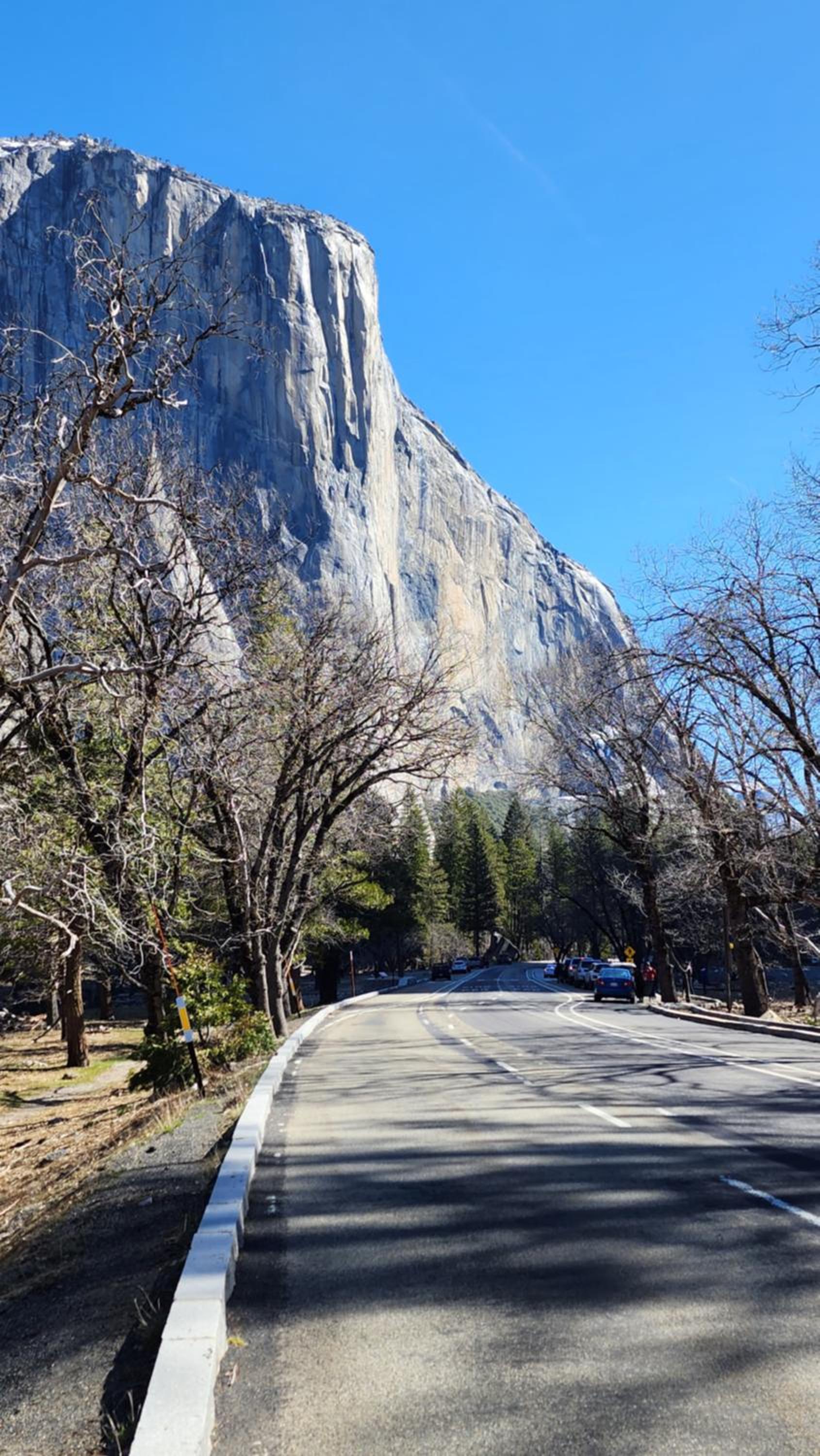 Yosemite Mountain Retreat photo 16