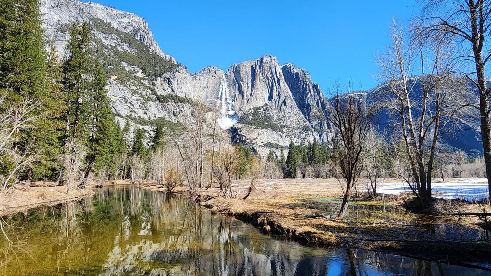 Yosemite Mountain Retreat photo 15