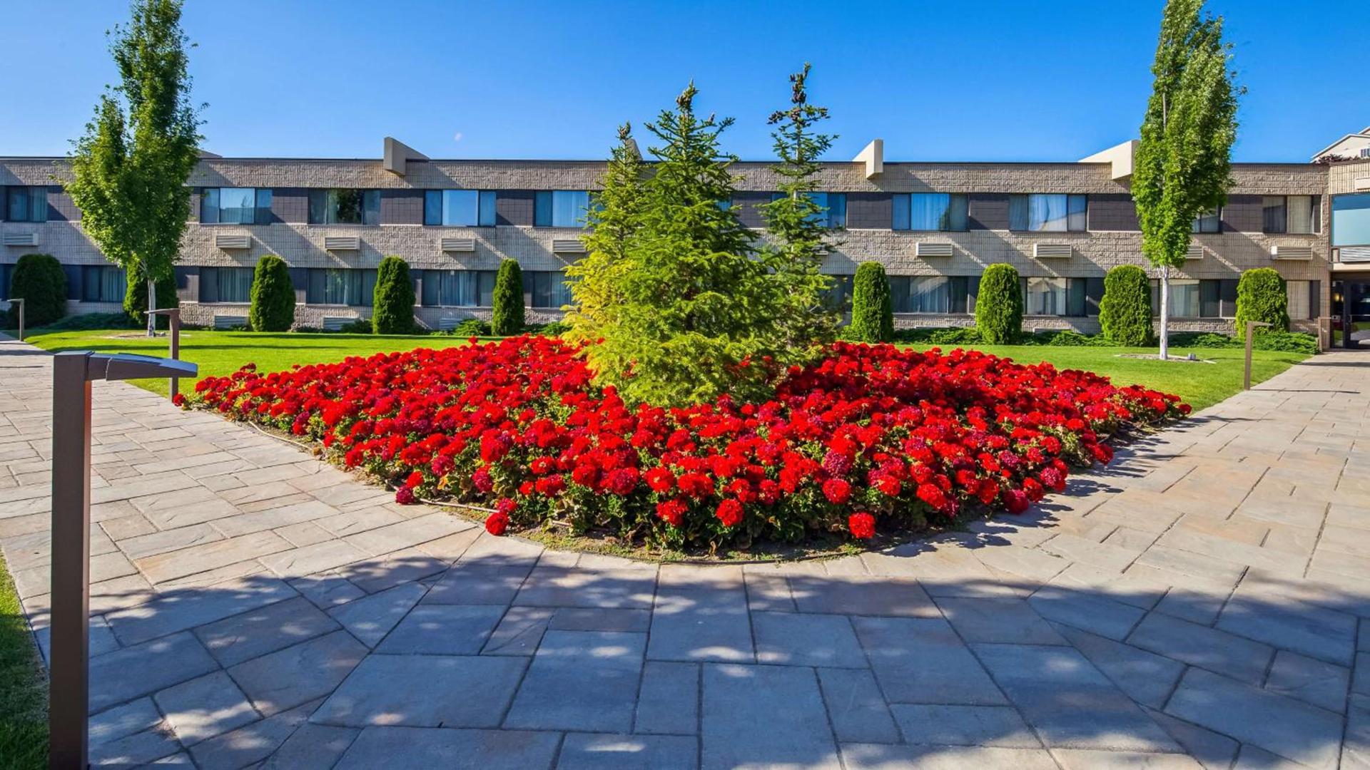 Best Western Plus University Inn photo 33