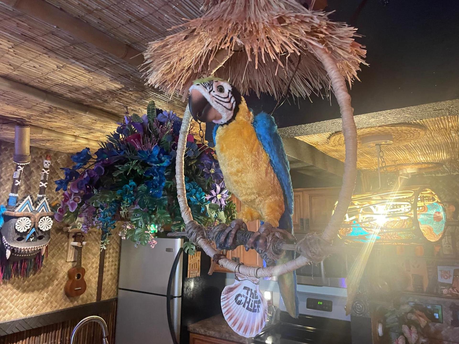 The Kondo Tiki photo 29