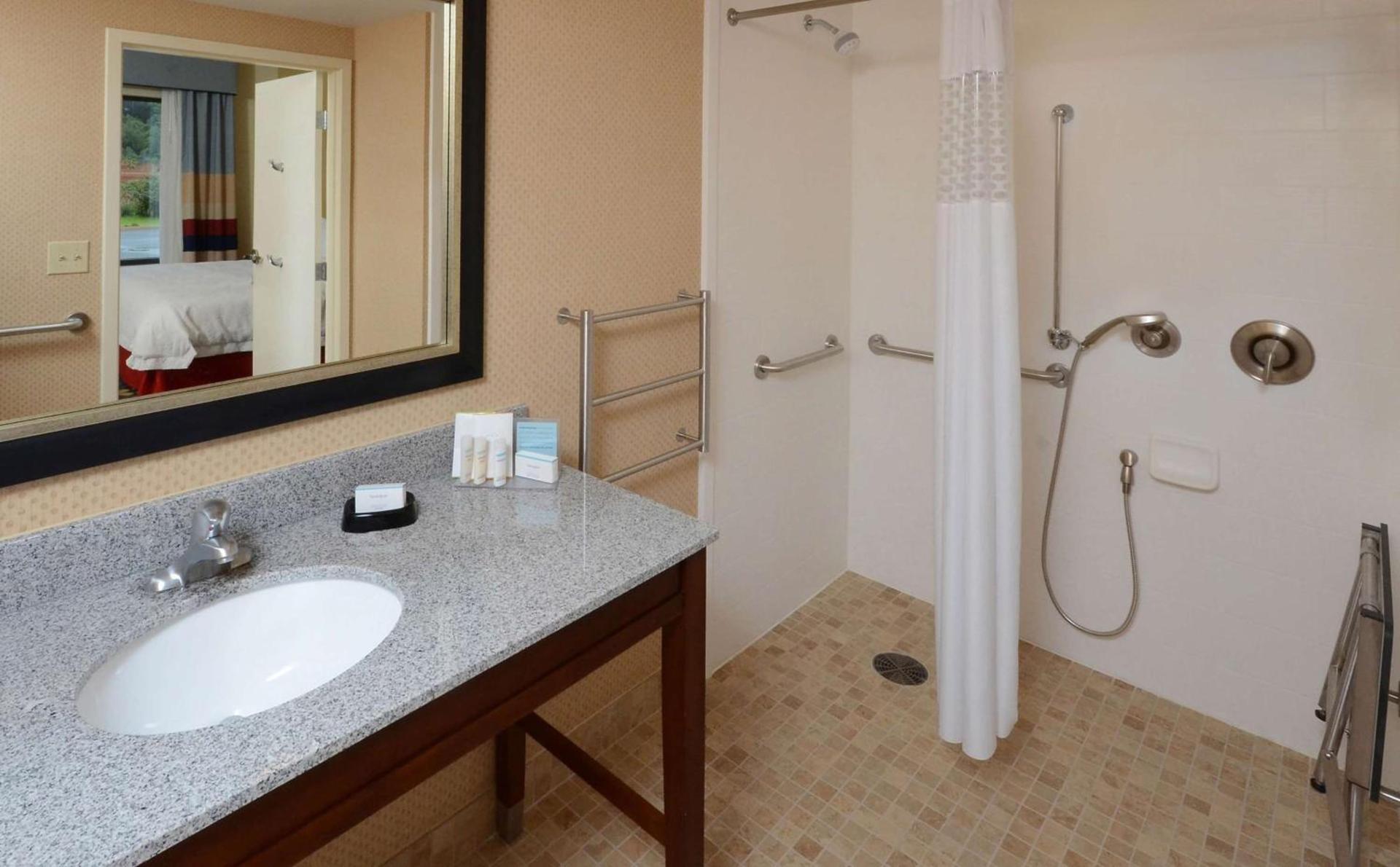Hampton Inn and Suites Lynchburg photo 42