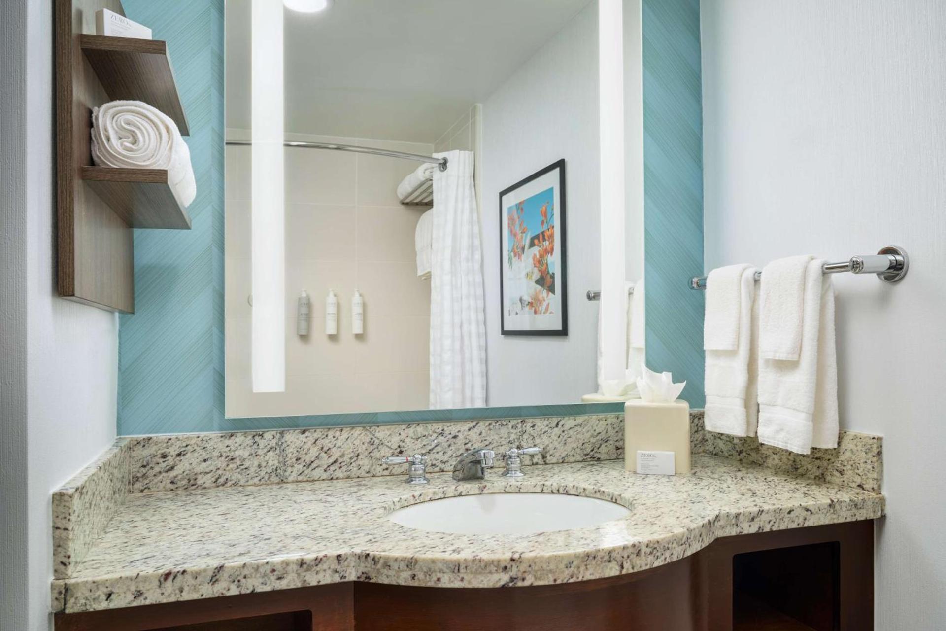 Hilton Garden Inn Atlanta Midtown photo 12