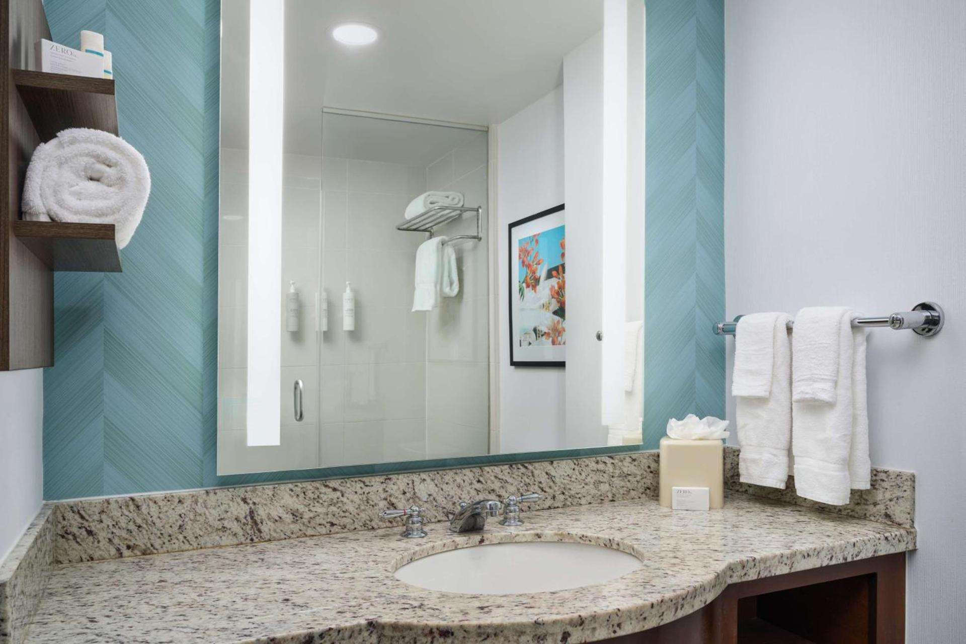 Hilton Garden Inn Atlanta Midtown photo 15