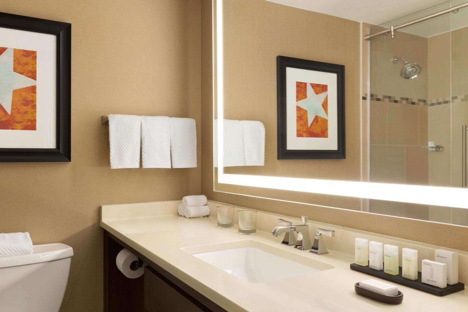 Embassy Suites by Hilton Austin Downtown South Congress photo 30