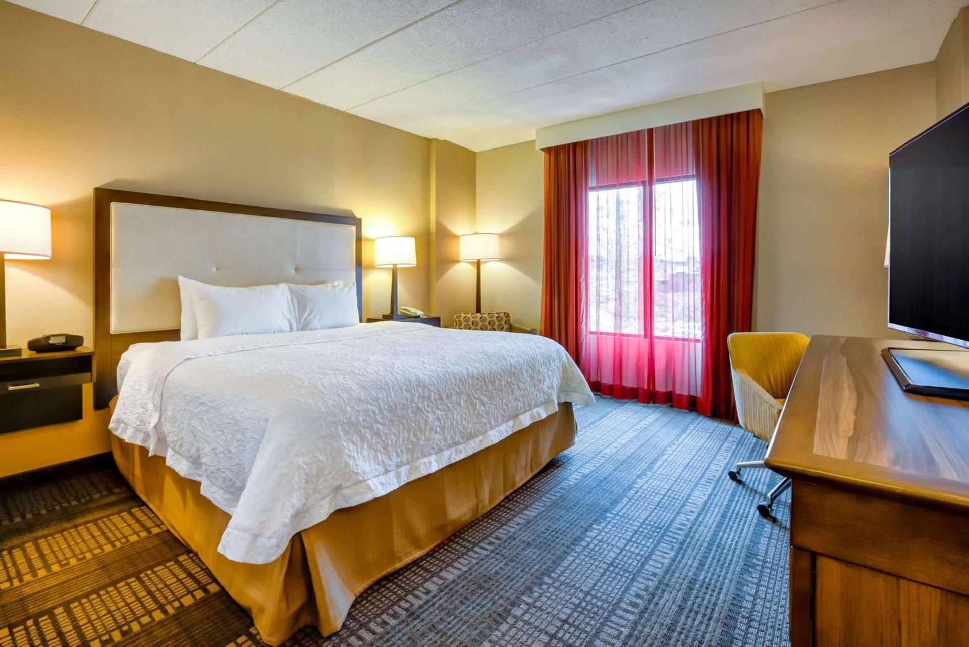 Hampton Inn Boston-Norwood photo 23
