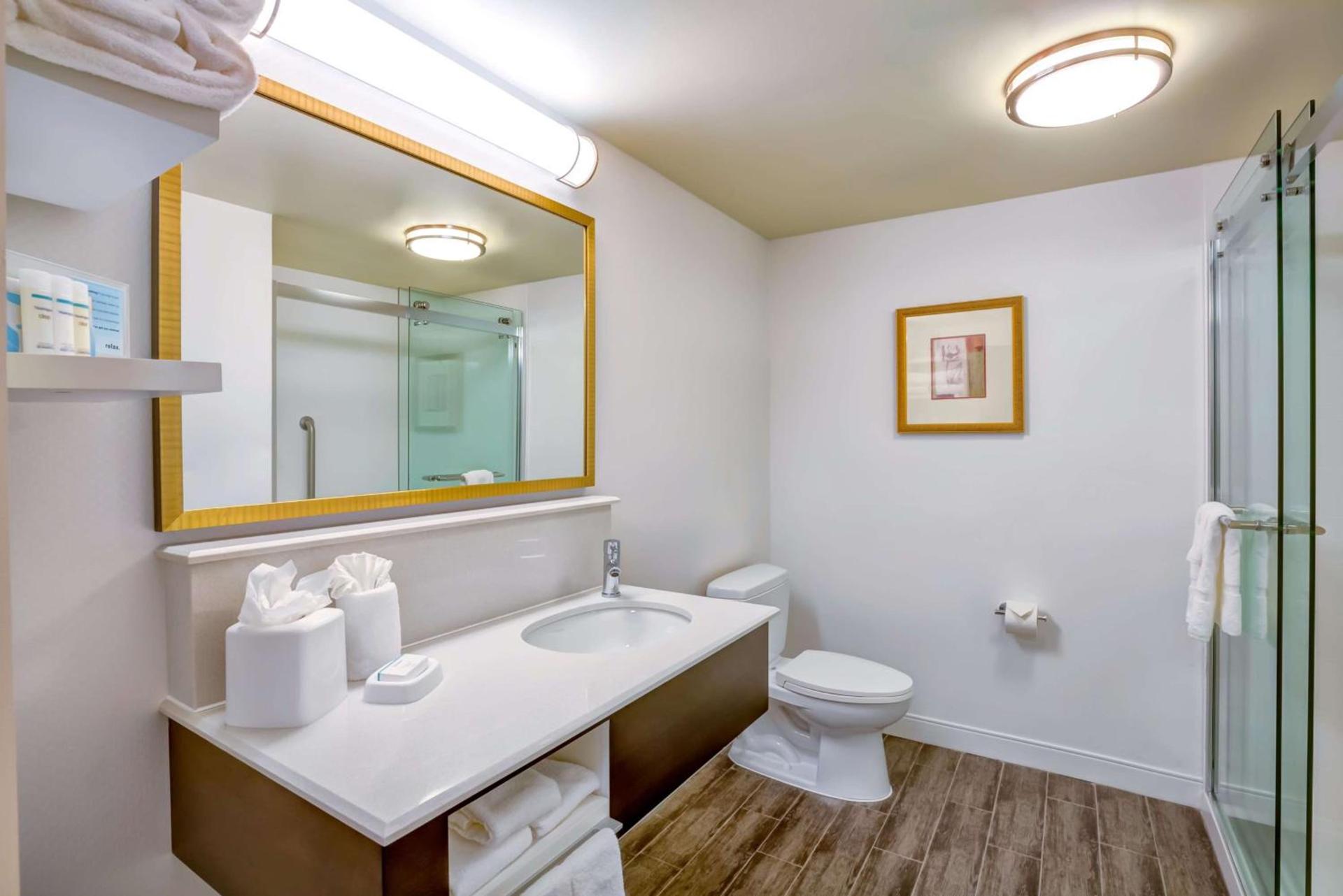 Hampton Inn Boston-Norwood photo 46