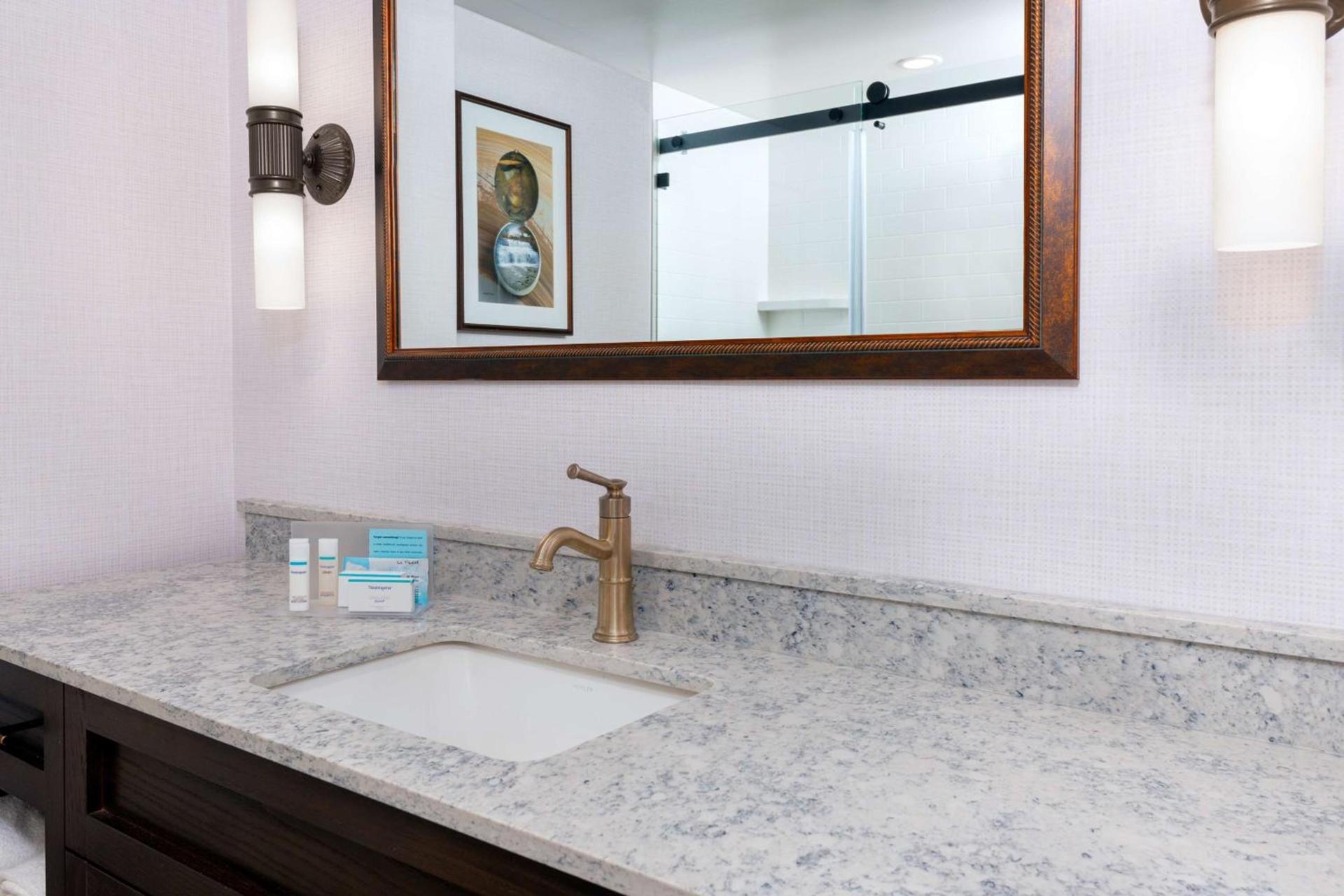 Hampton Inn Buffalo-Williamsville photo 21