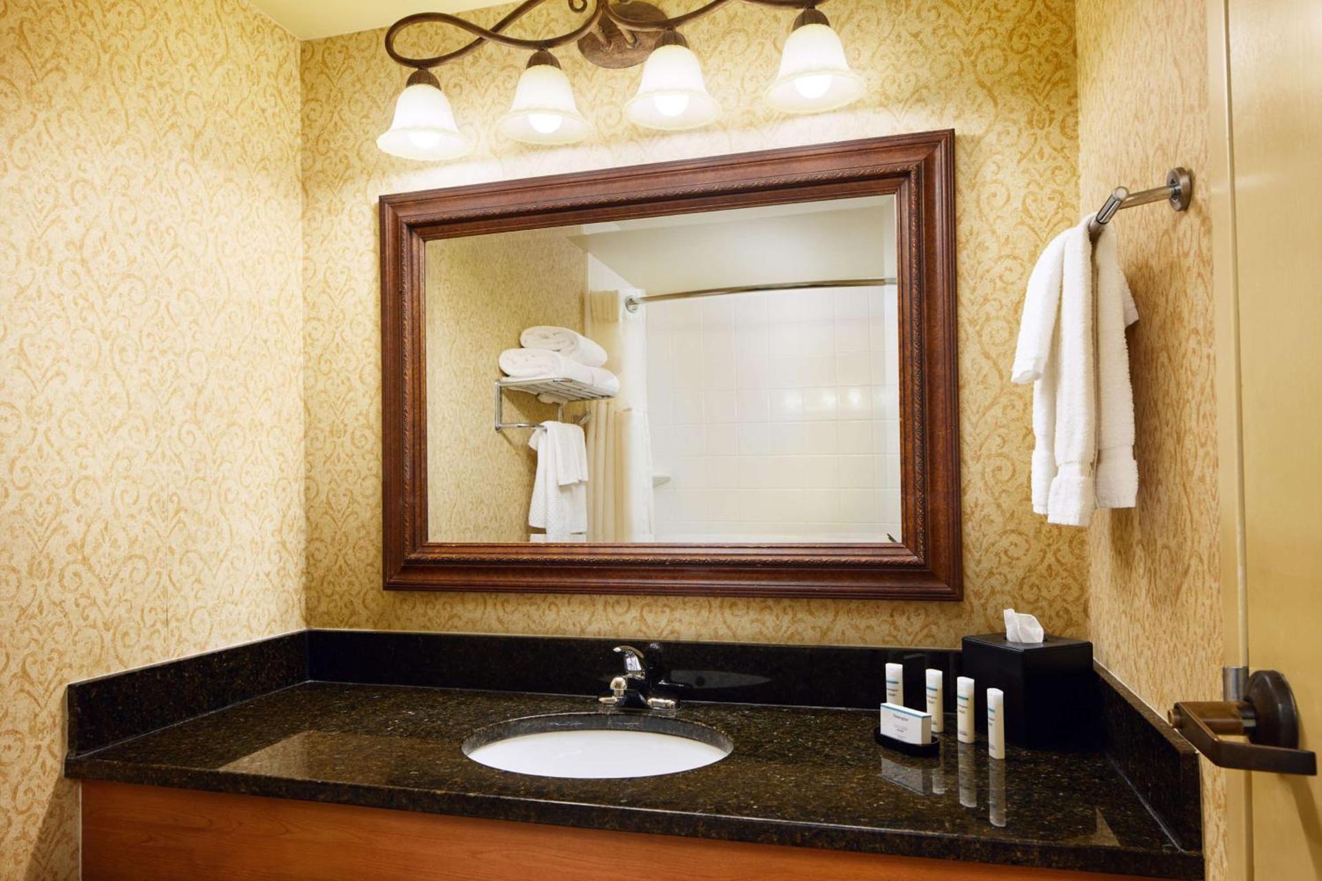 Embassy Suites by Hilton Columbia Greystone photo 23