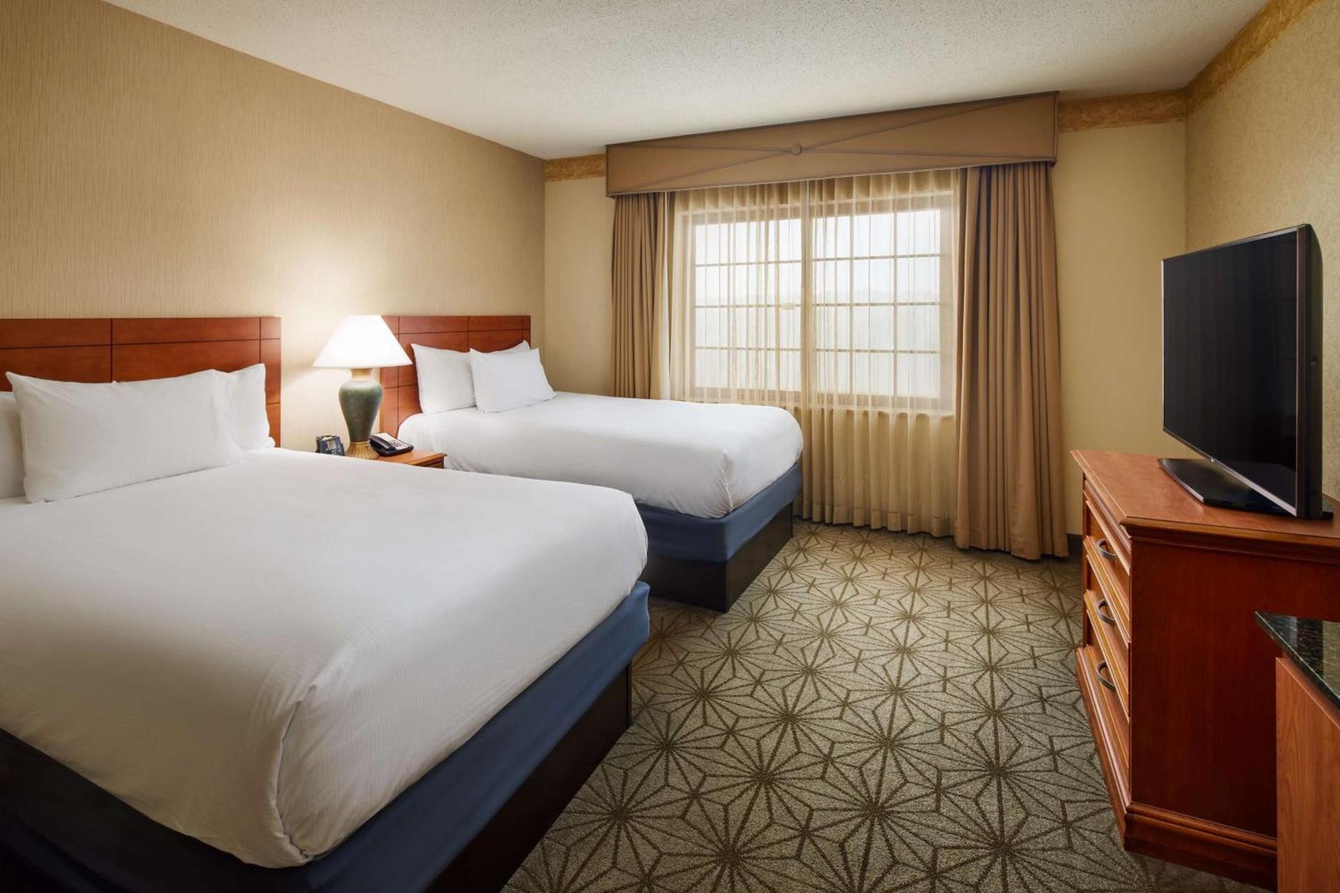 Embassy Suites by Hilton Columbia Greystone photo 28
