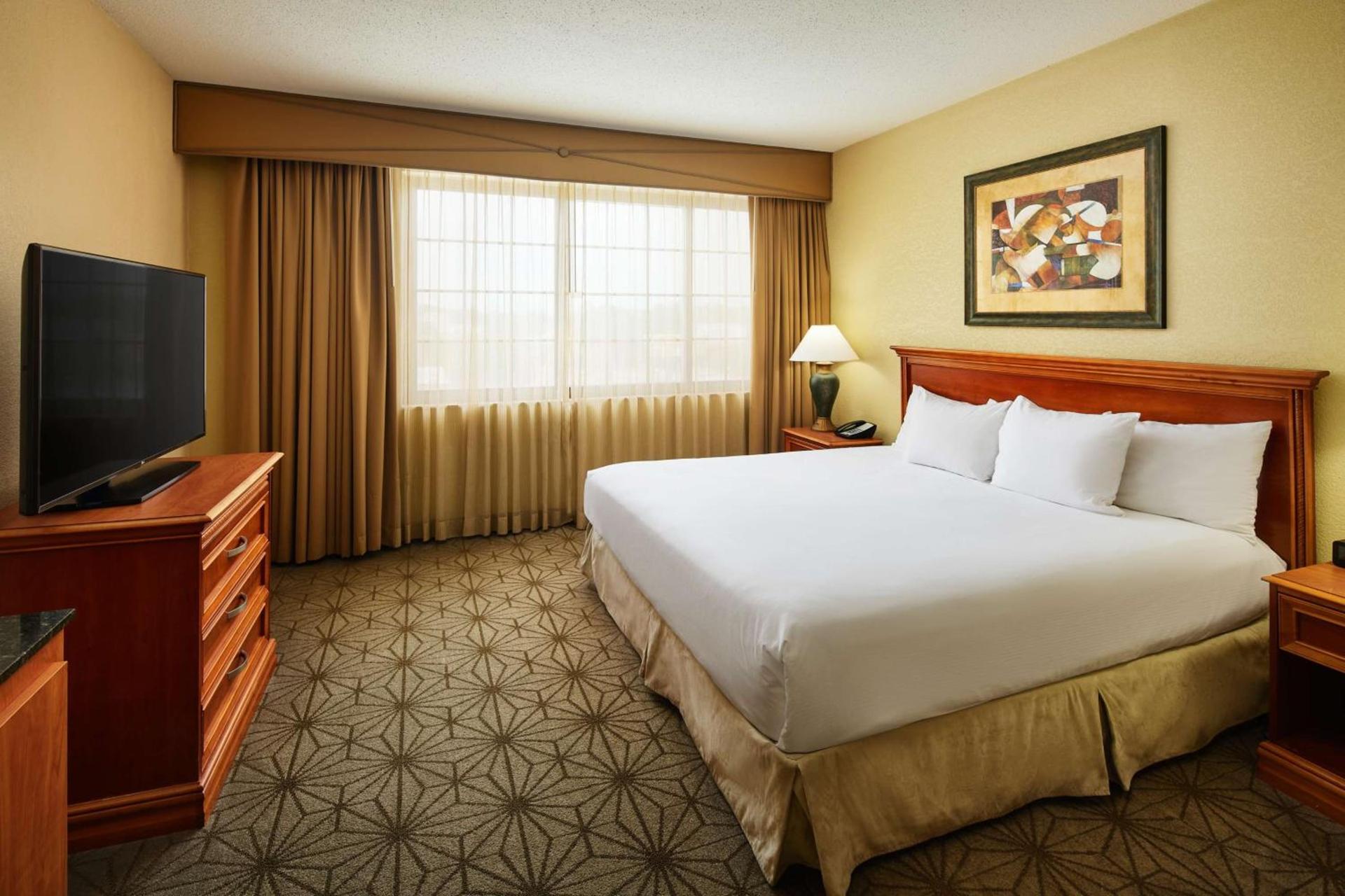 Embassy Suites by Hilton Columbia Greystone photo 29