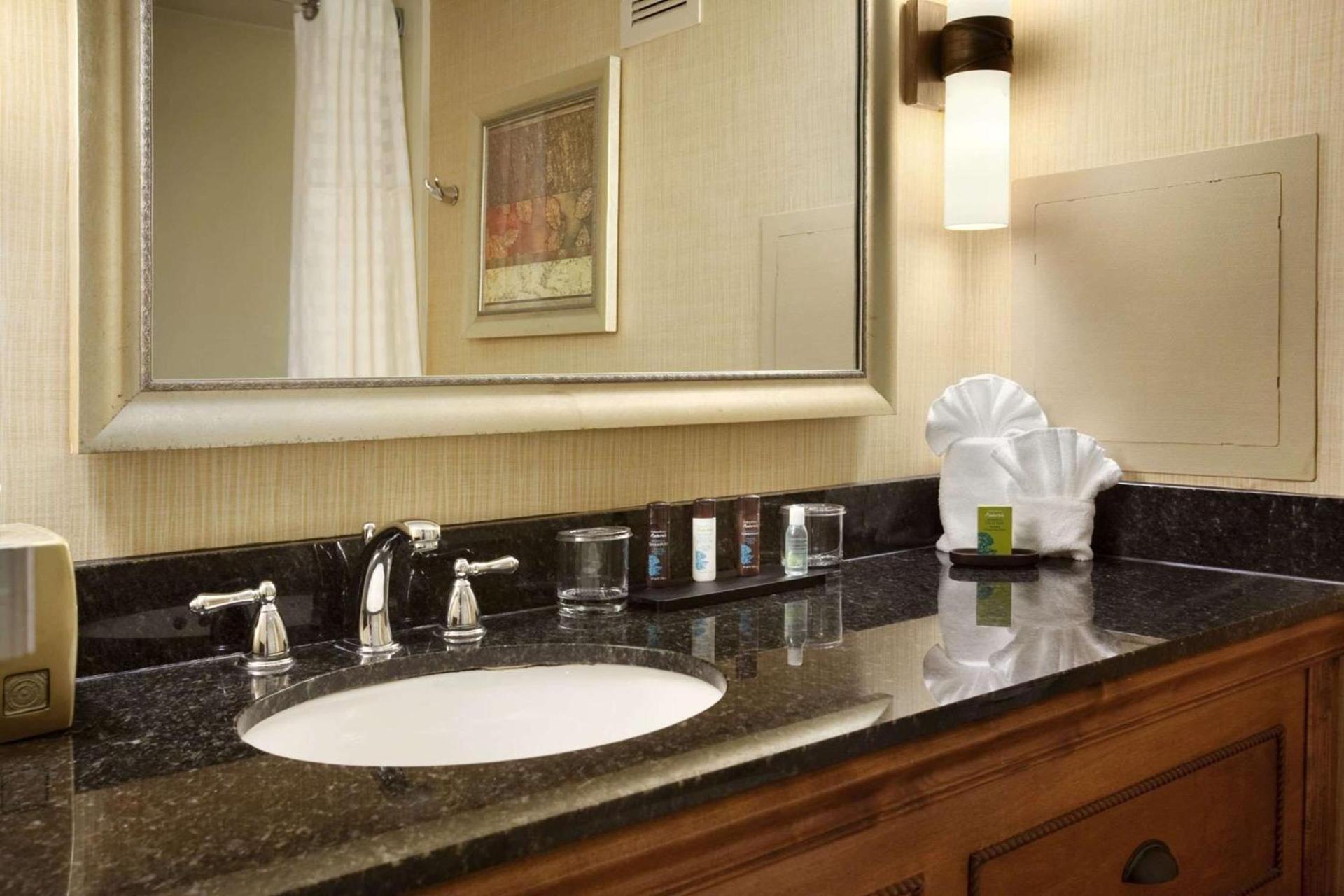 Embassy Suites by Hilton Columbia Greystone photo 31
