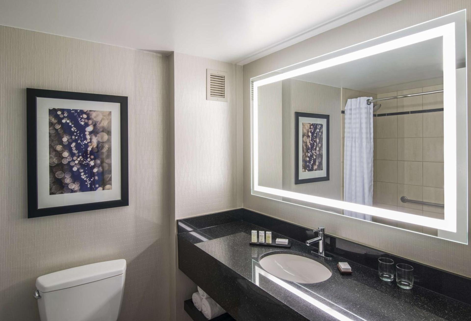 Embassy Suites by Hilton Chicago Downtown Magnificent Mile photo 39