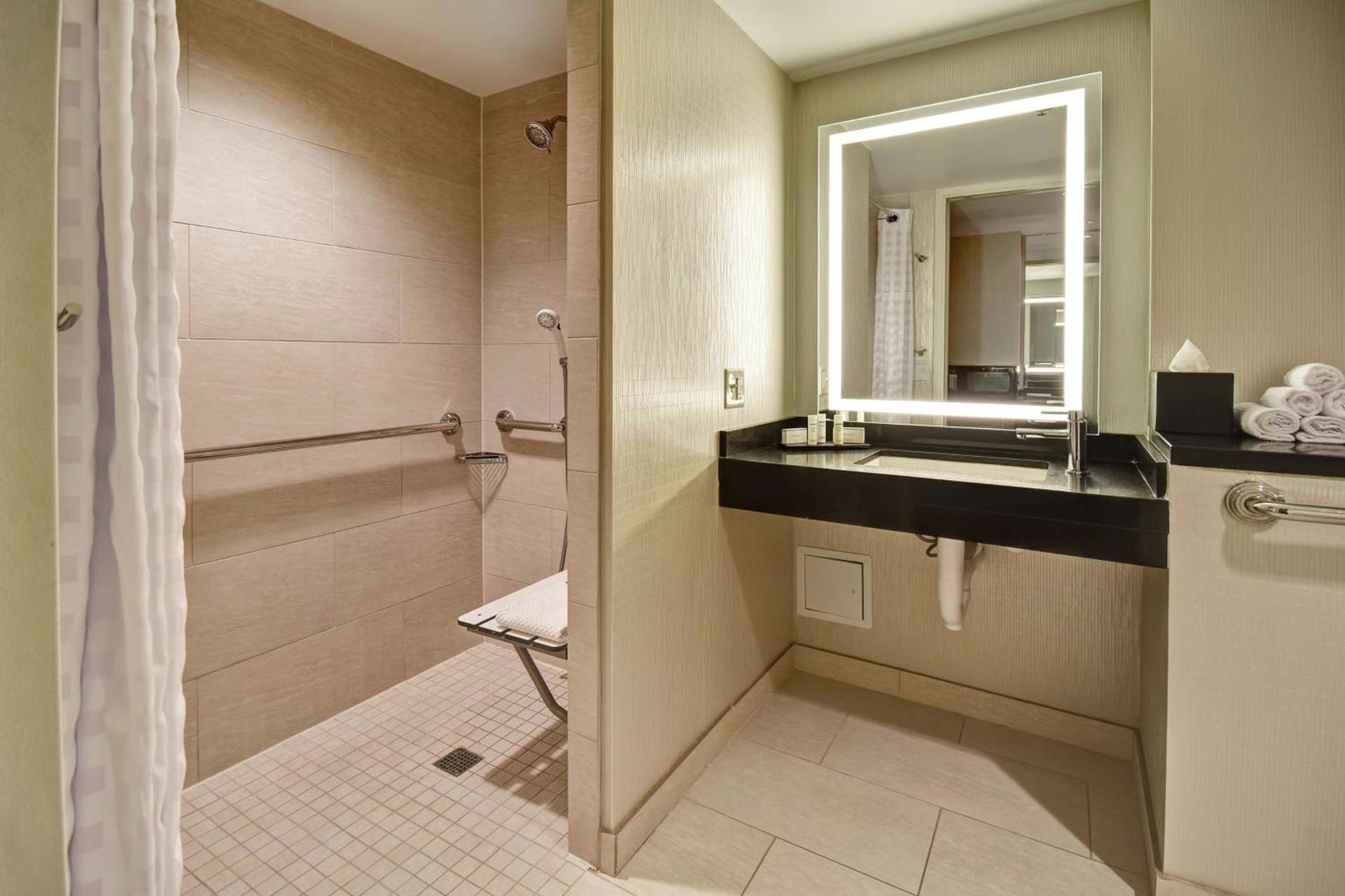 Embassy Suites by Hilton Chicago Downtown Magnificent Mile photo 47