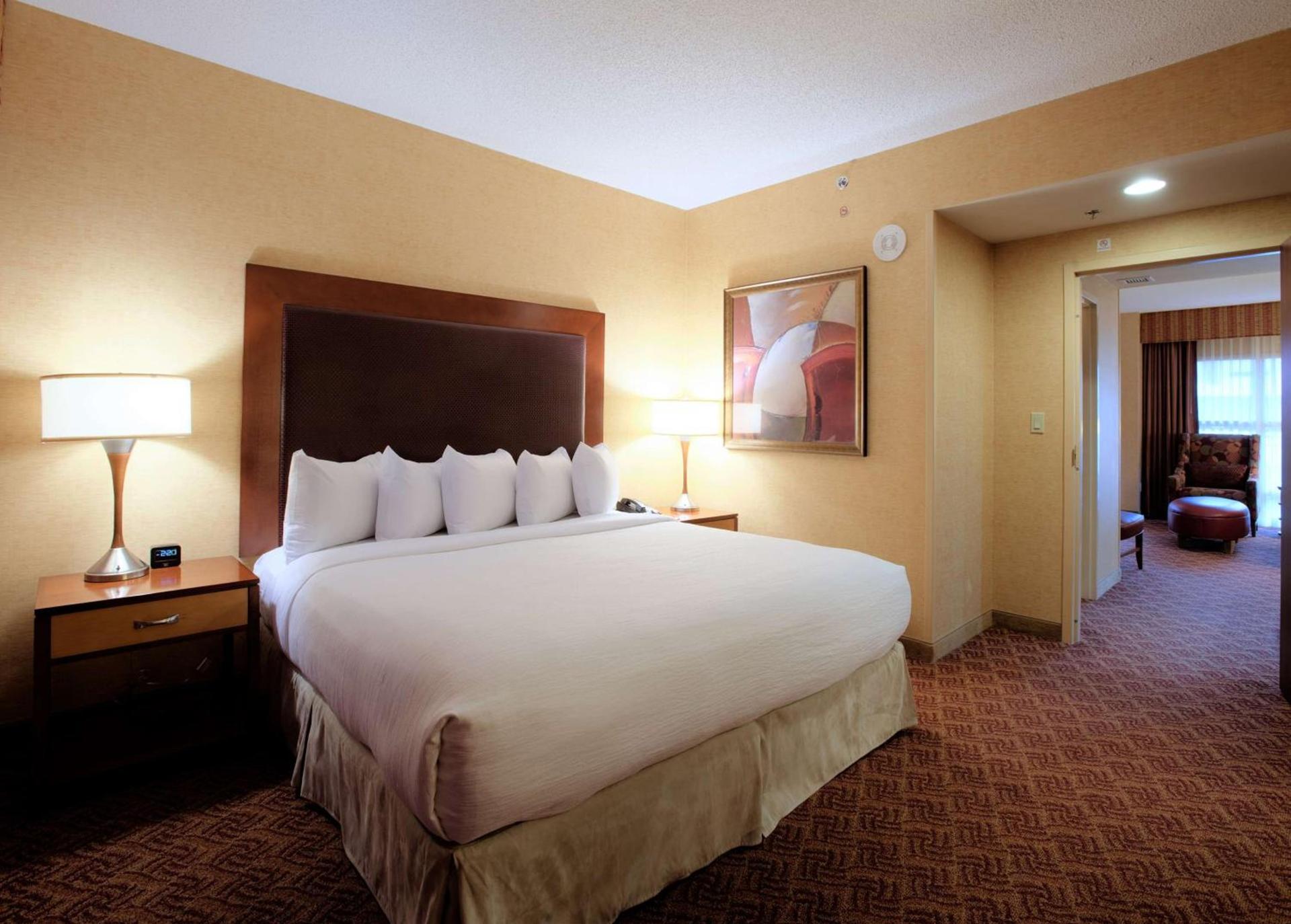 Embassy Suites by Hilton Charlotte Concord Golf Resort & Spa photo 42